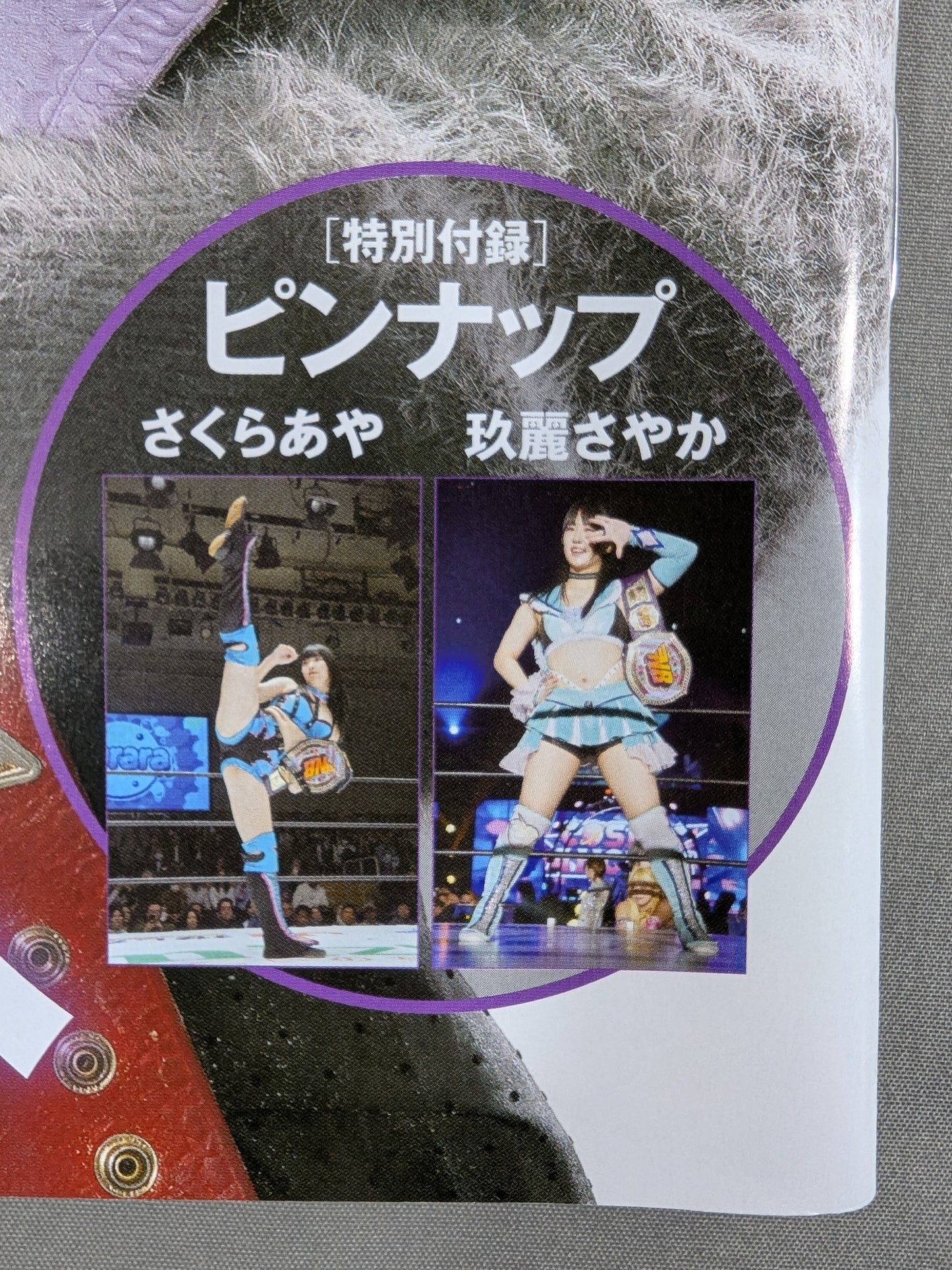 週刊プロレス2385