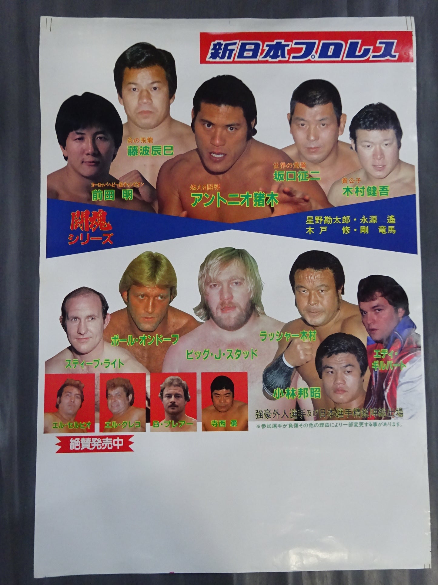 Fighting spirit series