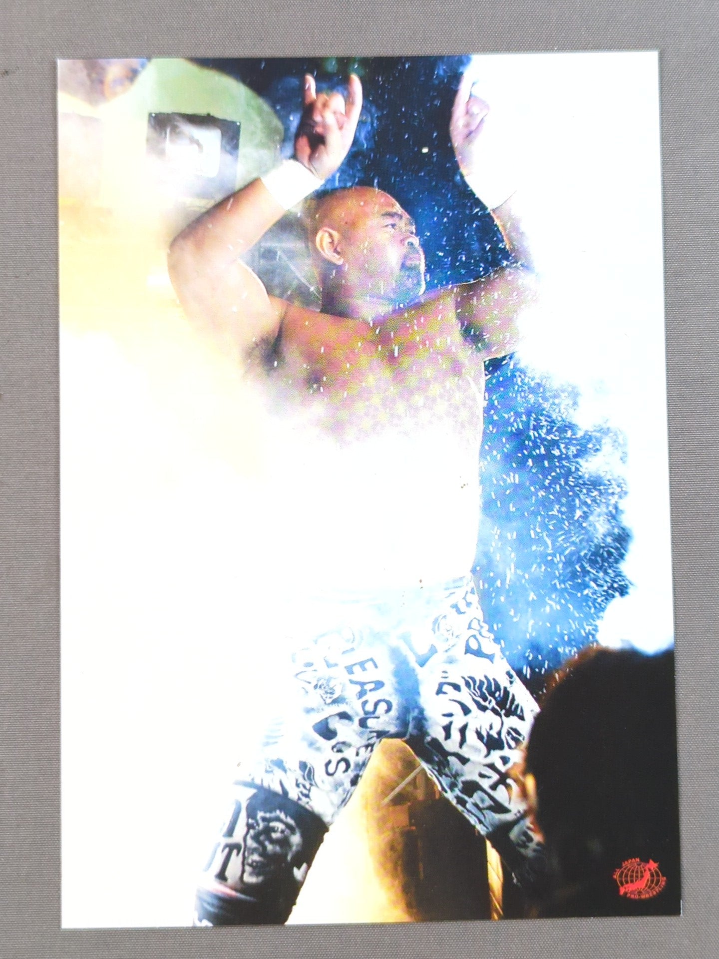 全日本プロレス 武藤敬司 ポストカード – 闘道館