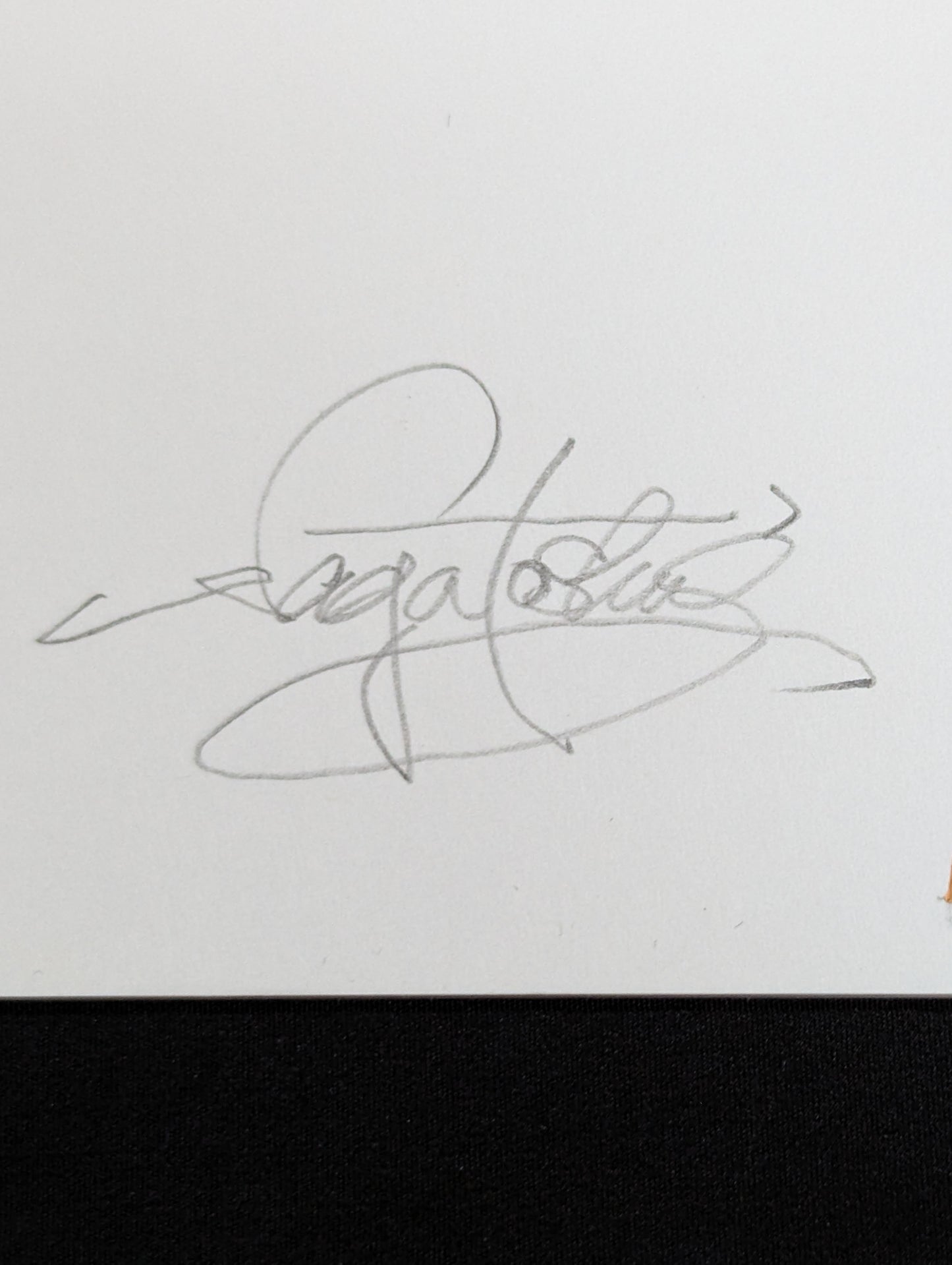 ★坂井永年氏 原画作品★「超獣」ブルーザー・ブロディ