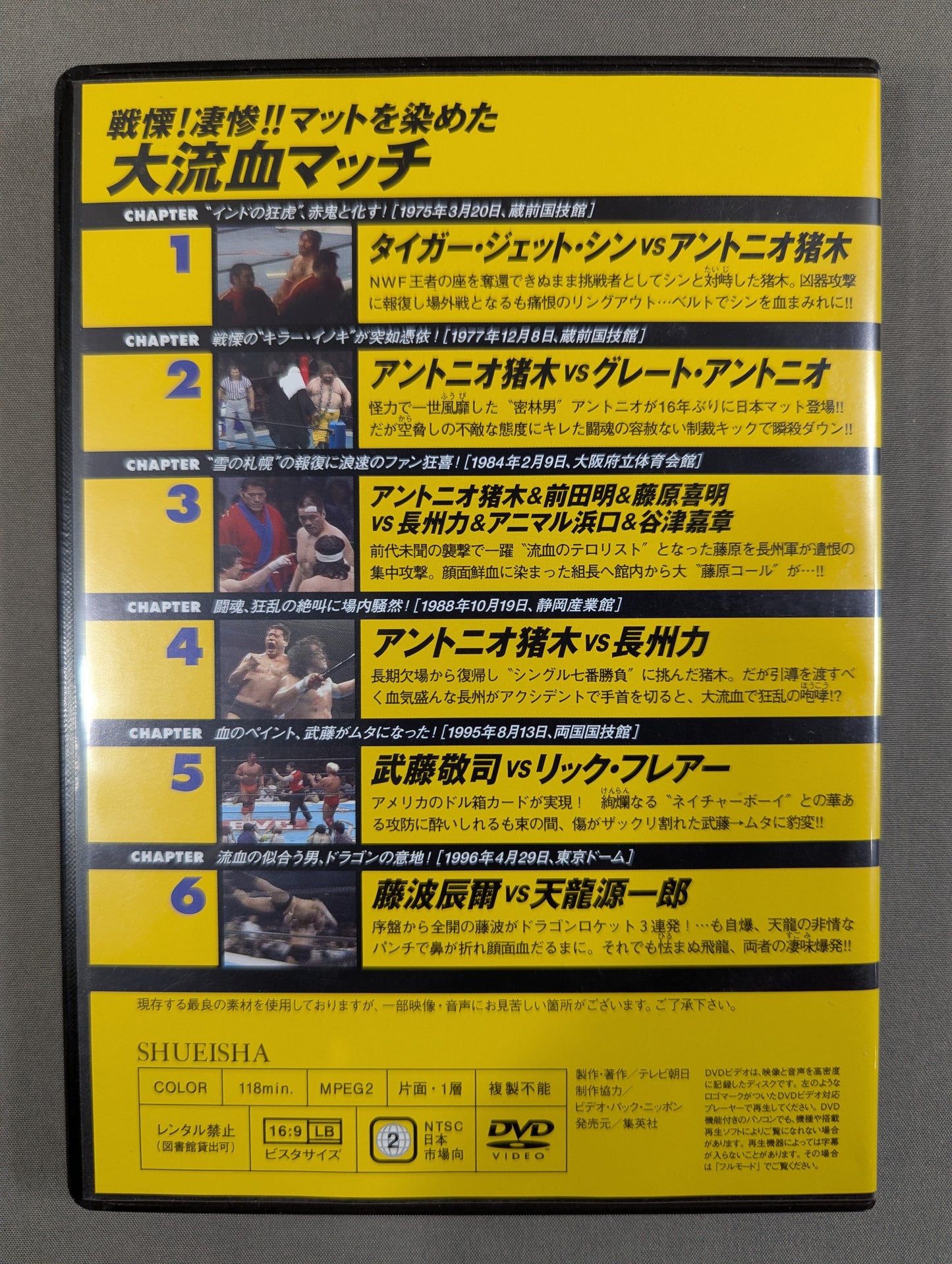 Burn! New Japan Pro Wrestling vol.24