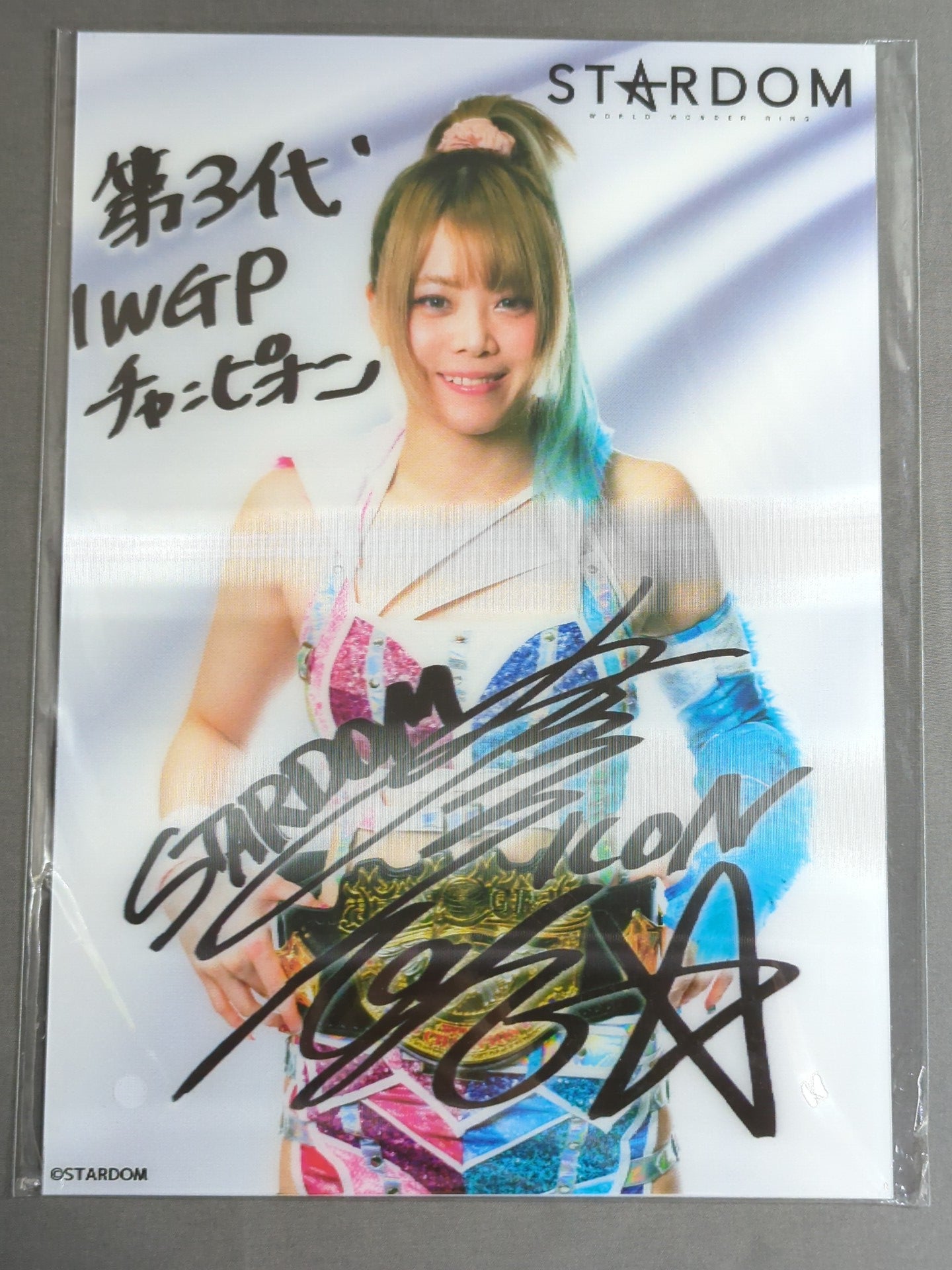 ☆IWGP☆ 岩谷麻優 3D ポートレート – 闘道館