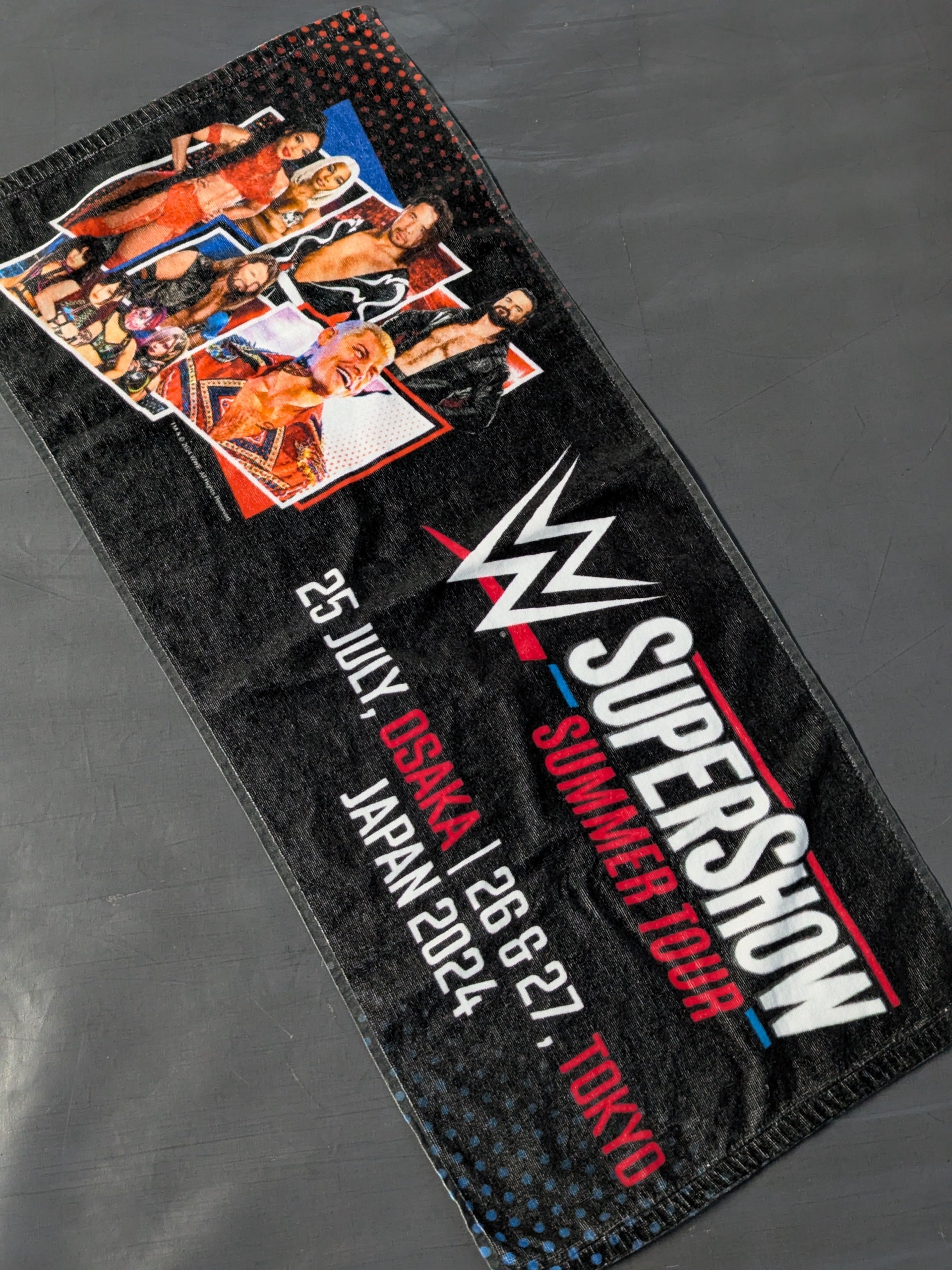 WWE SUMMER TOUR 2024 日本公演 フェイスタオル(B) – 闘道館