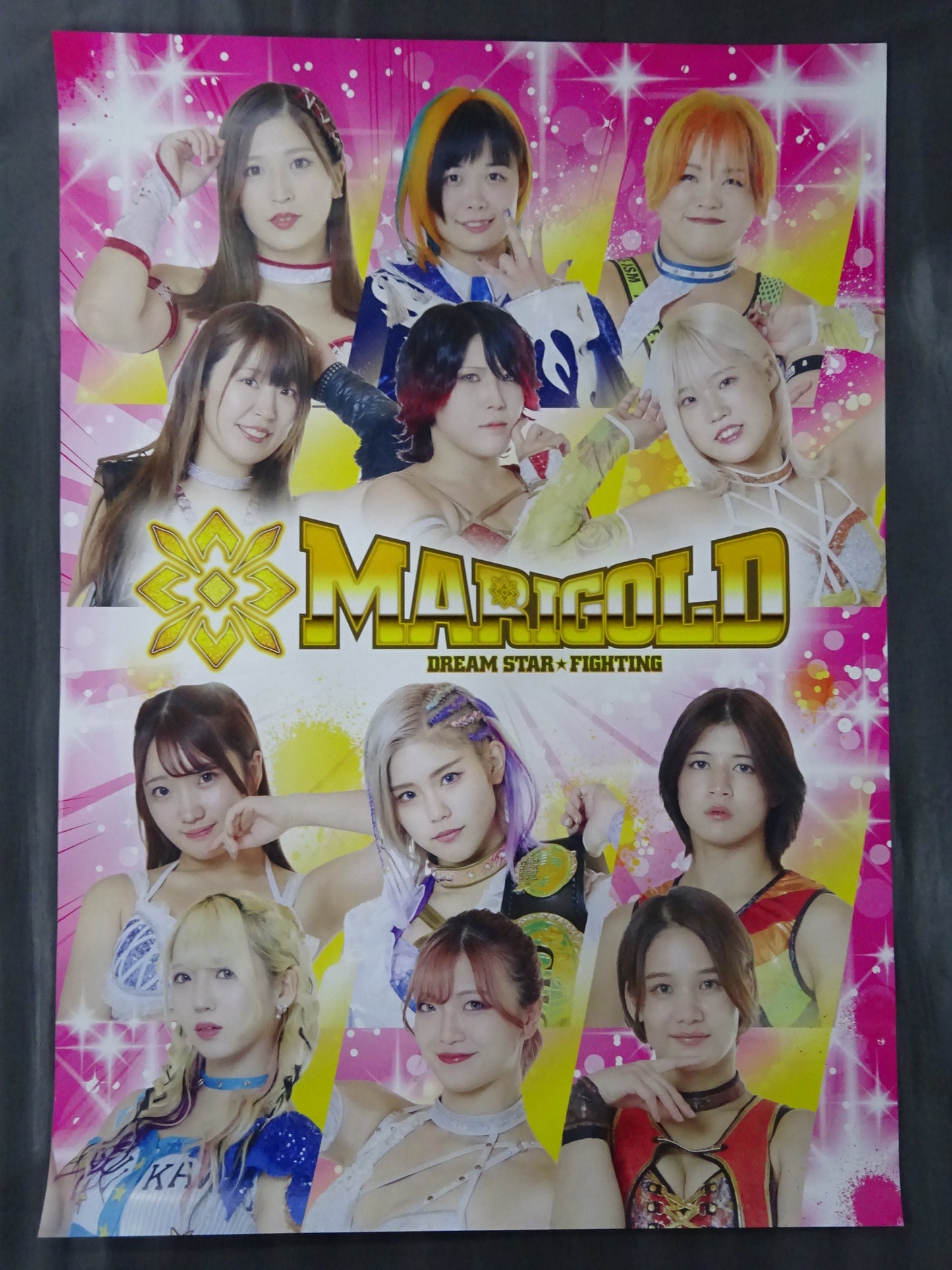 Marigold Posters(1)
