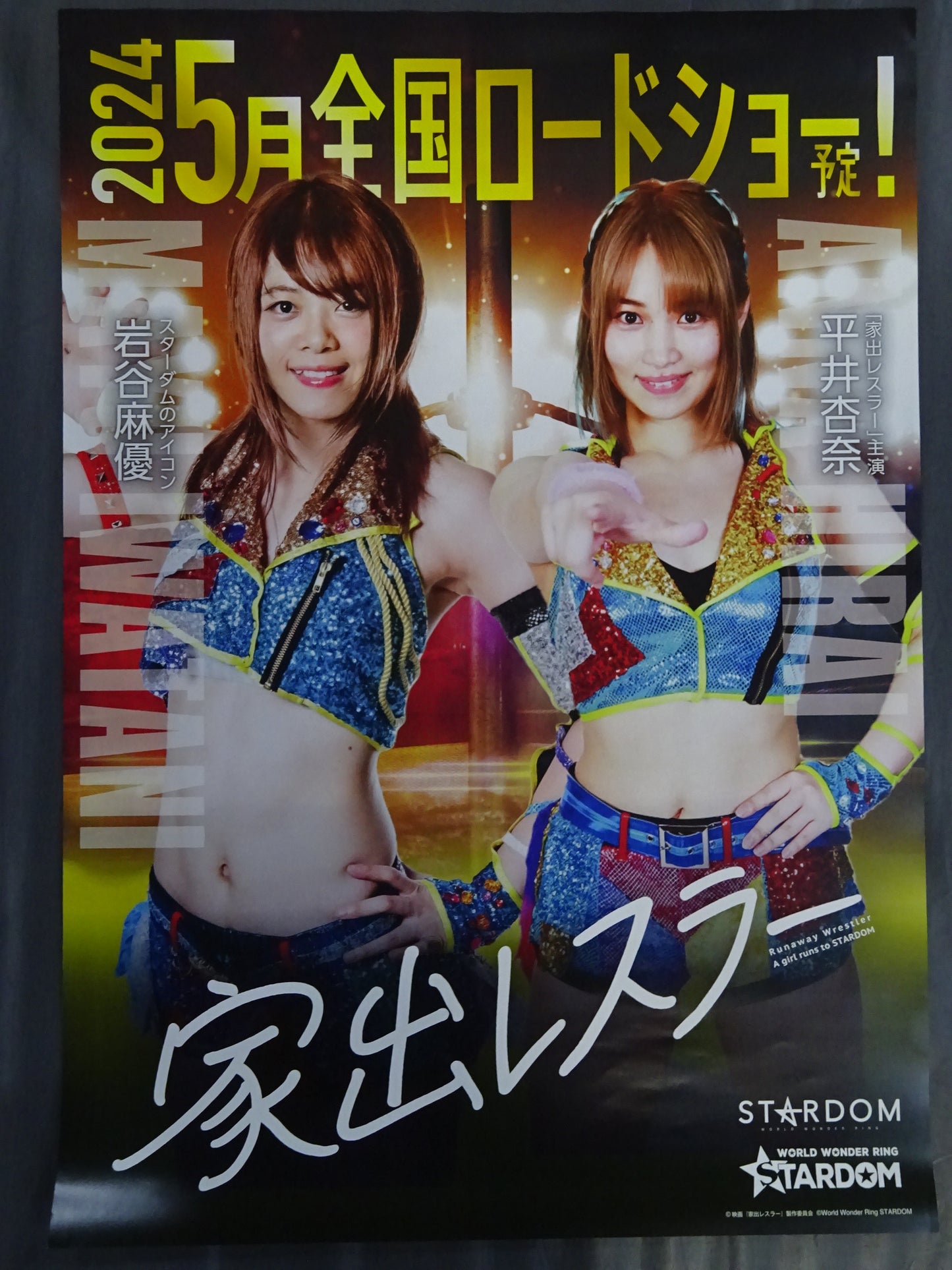Runaway Wrestler Poster