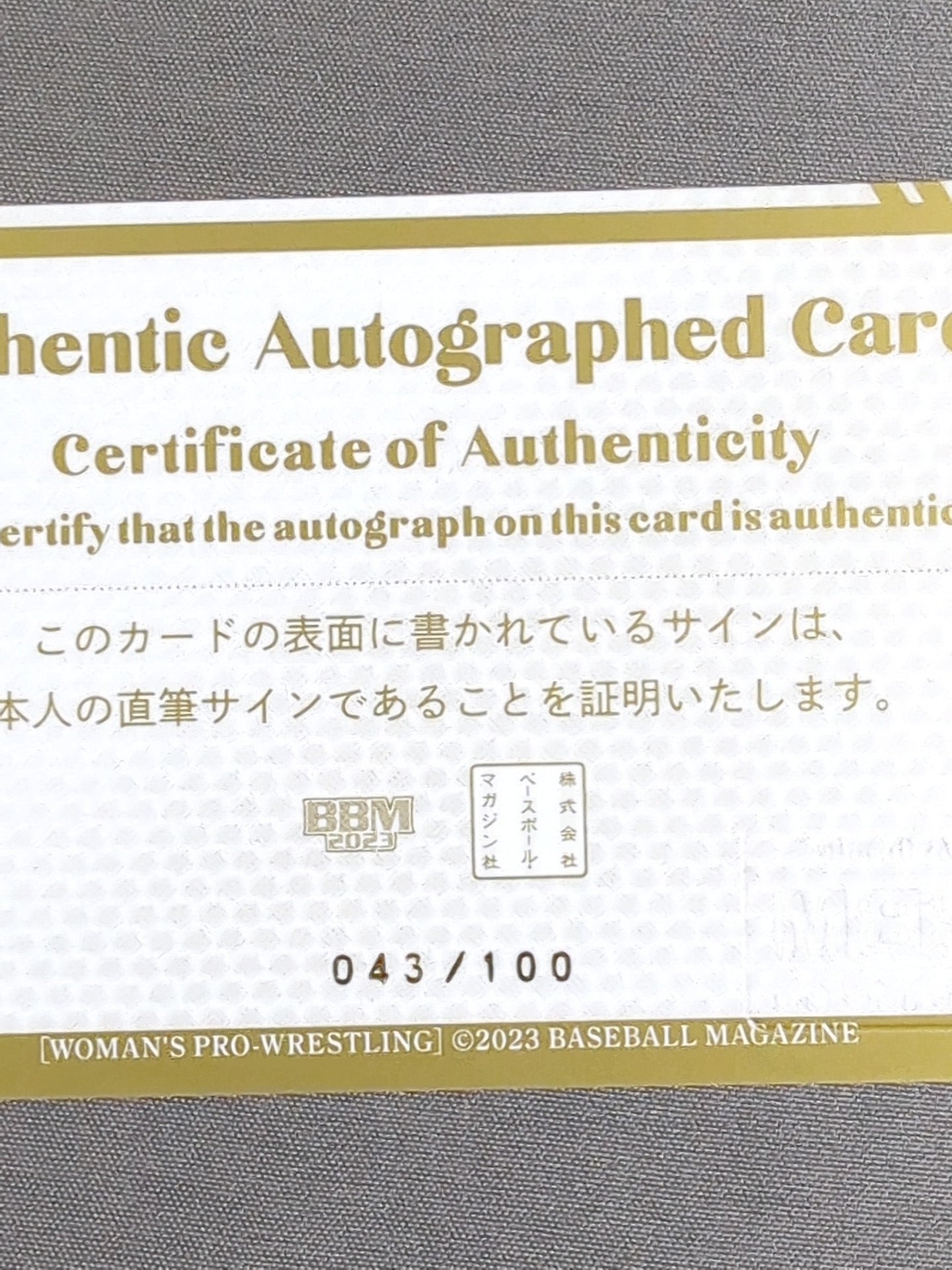 2023 BBM 野崎渚 公式サインカード