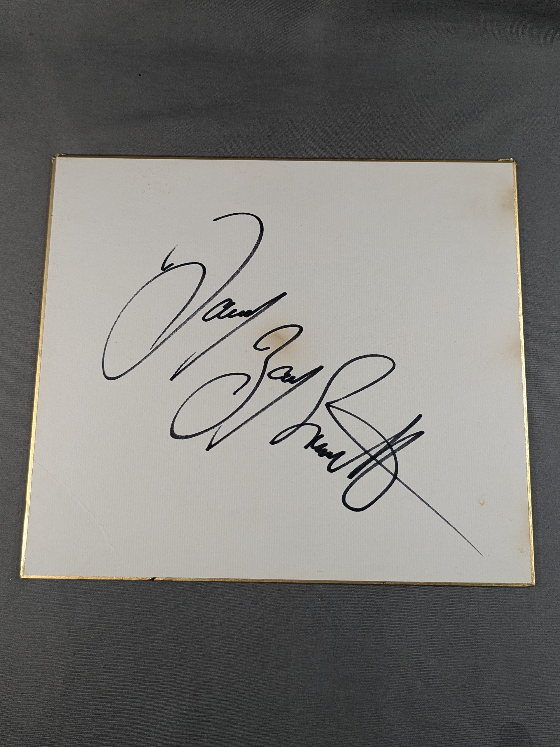 WAY OF THE BIRD Andy Davis メッセージサイン入り Davey Boy Smith – 闘道館
