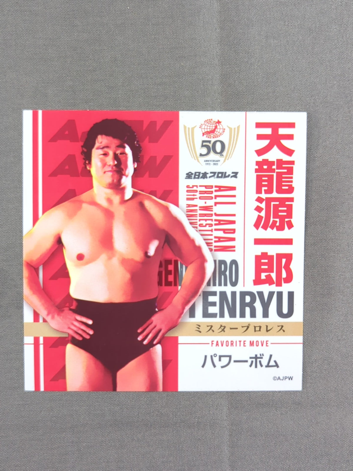 Tenryu Genichiro All Japan Pro Wrestling 50th Anniversary plastic file folder & Sticker Sets