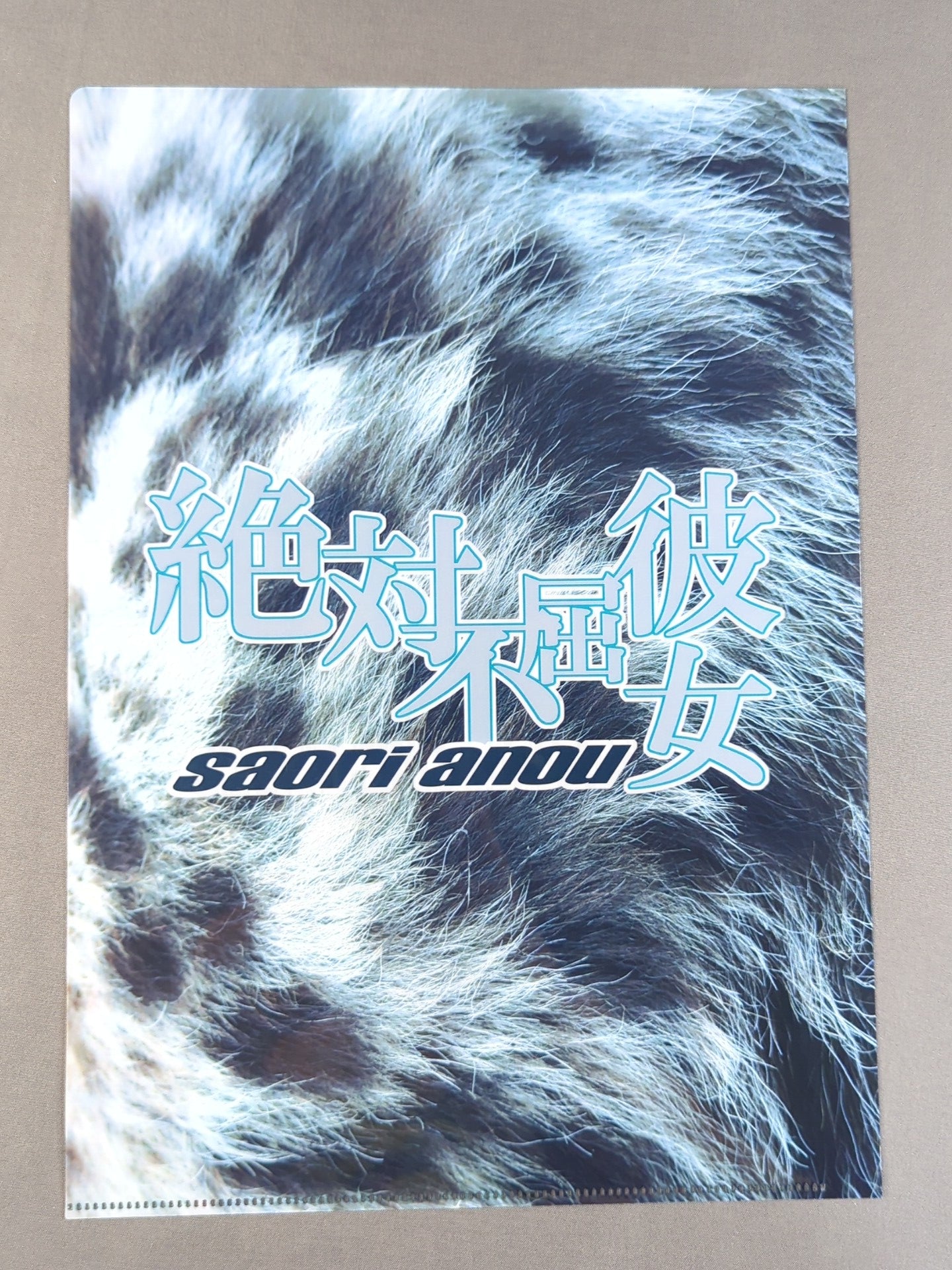 Saori Anou ×Nagatoshi Sakai family Collaboration Illustration plastic file folder (1)