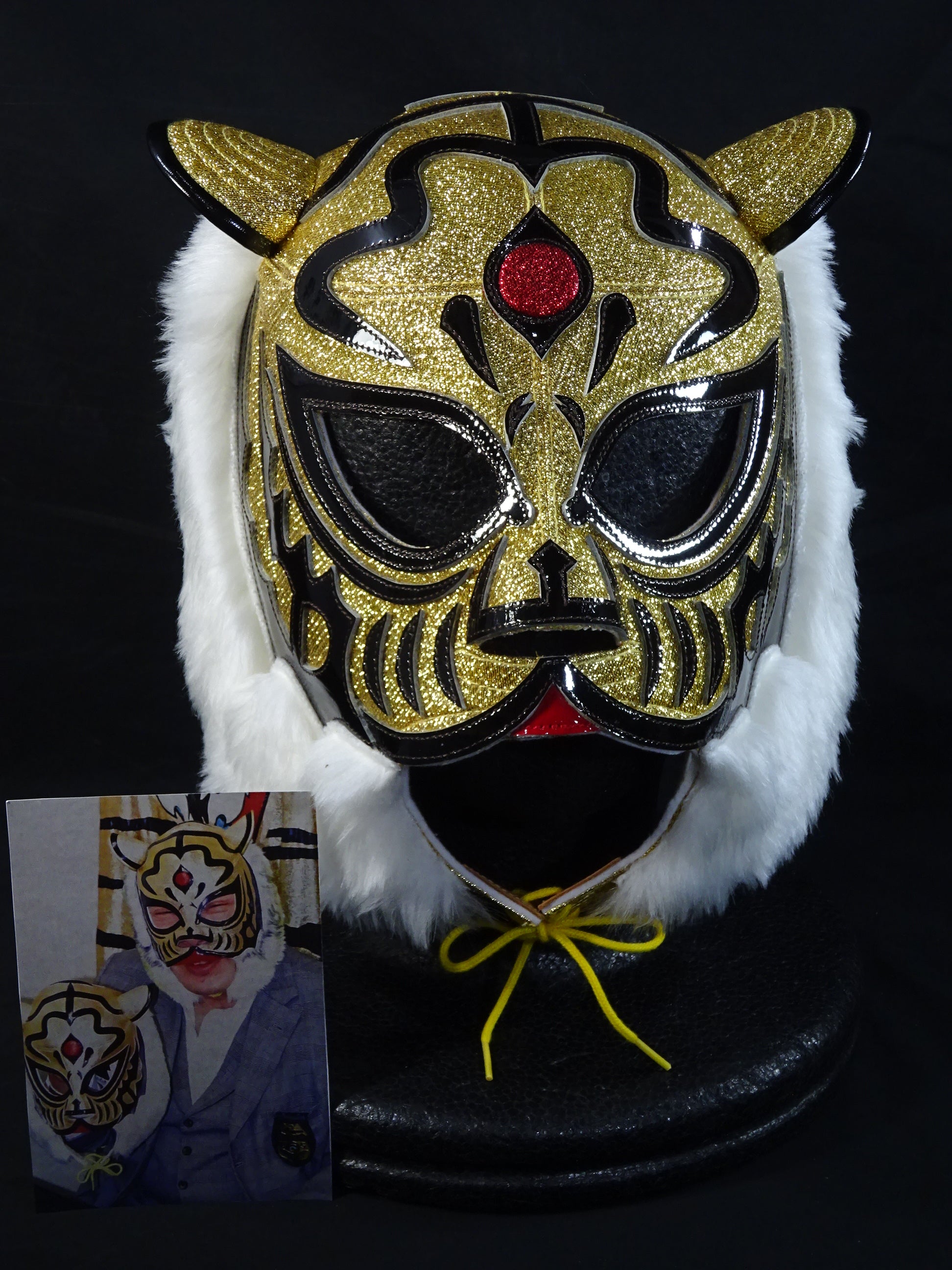 The first Tiger Mask – 闘道館