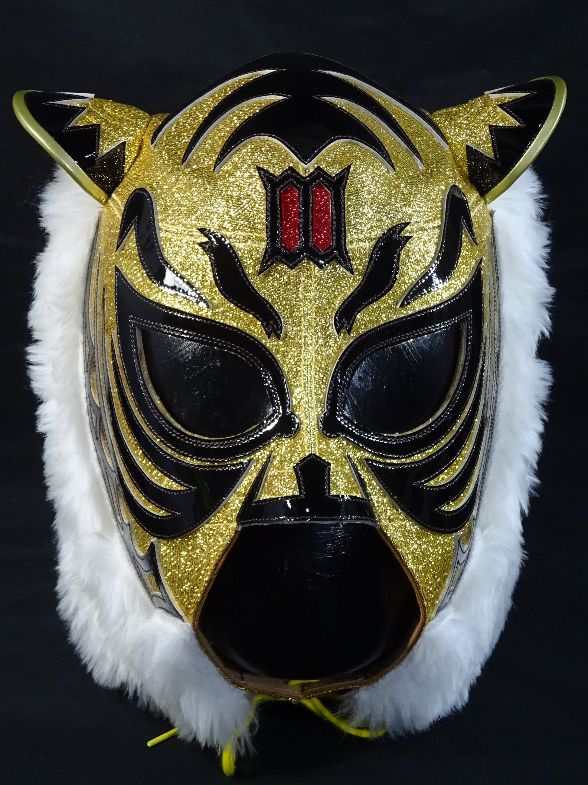 The first Tiger Mask – 闘道館