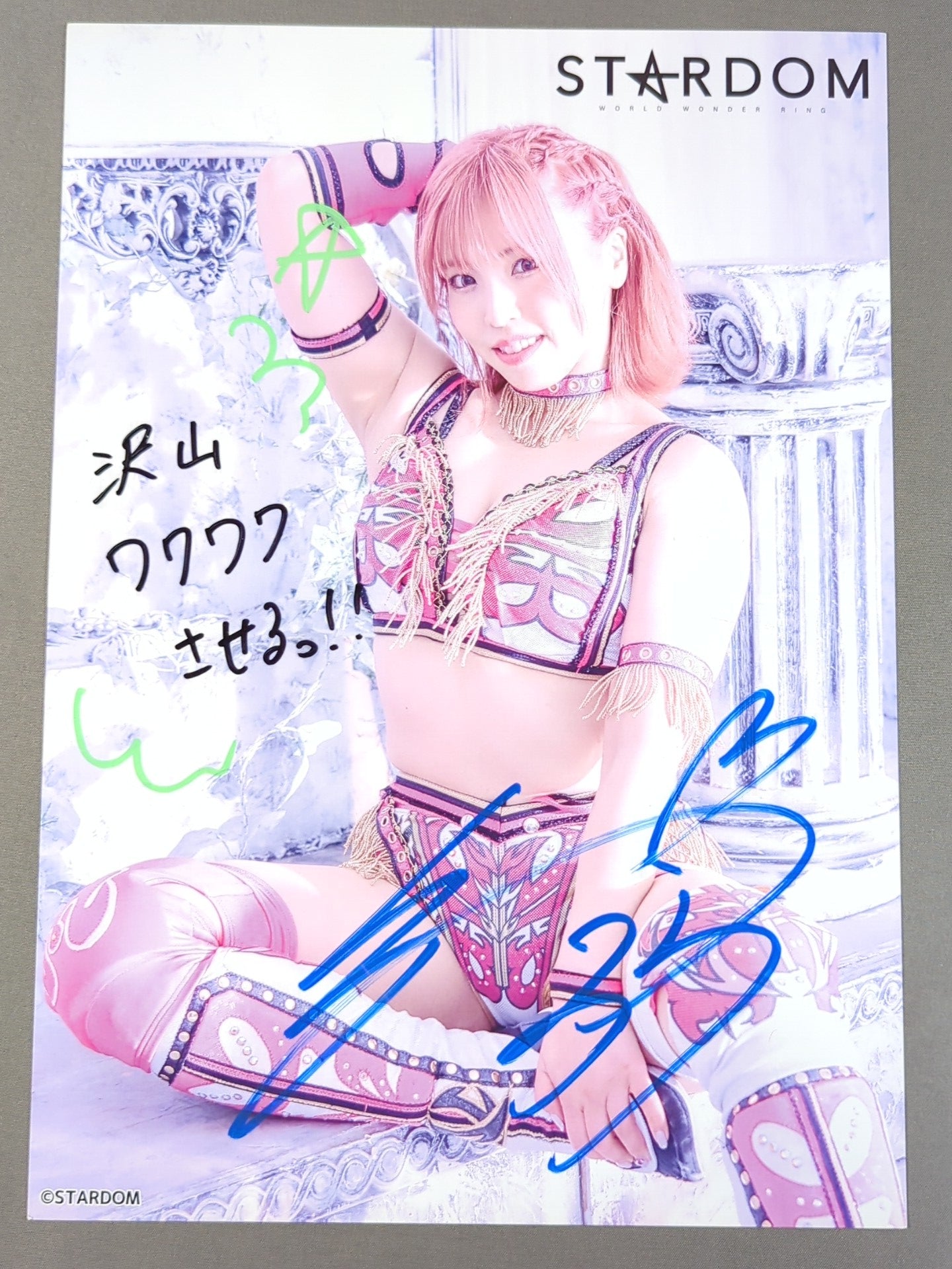 白川未奈 サイン入りトロフィー付きフレーム 白川未奈 直筆サイン入り スターダムポートレート(M-1) – 闘道館