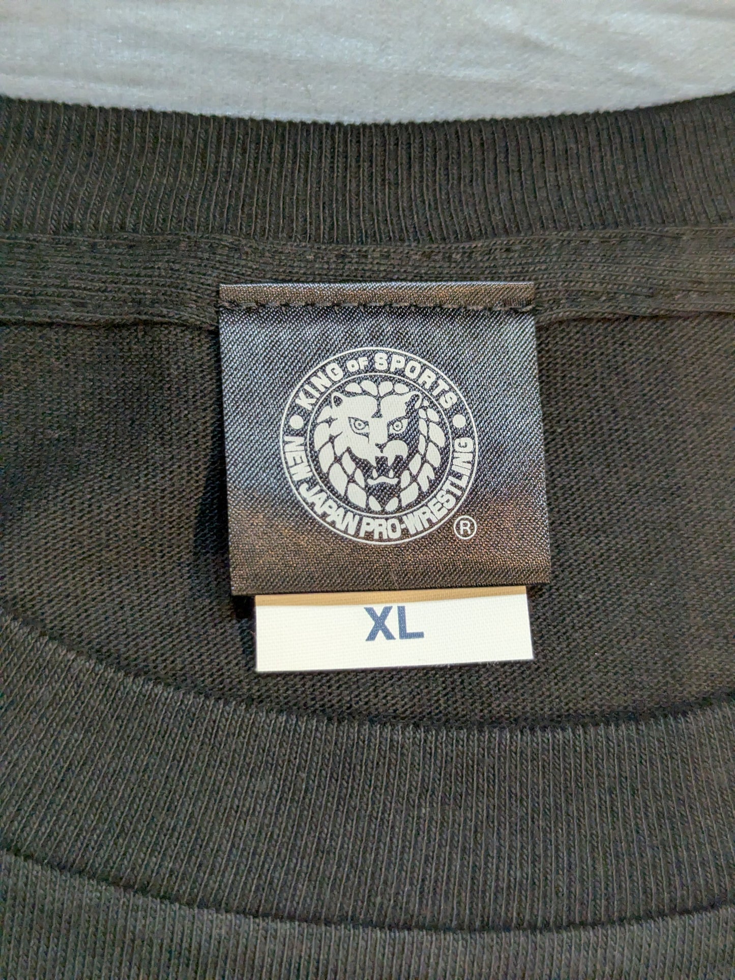 天龍源一郎&鷹木信悟 コラボTシャツ