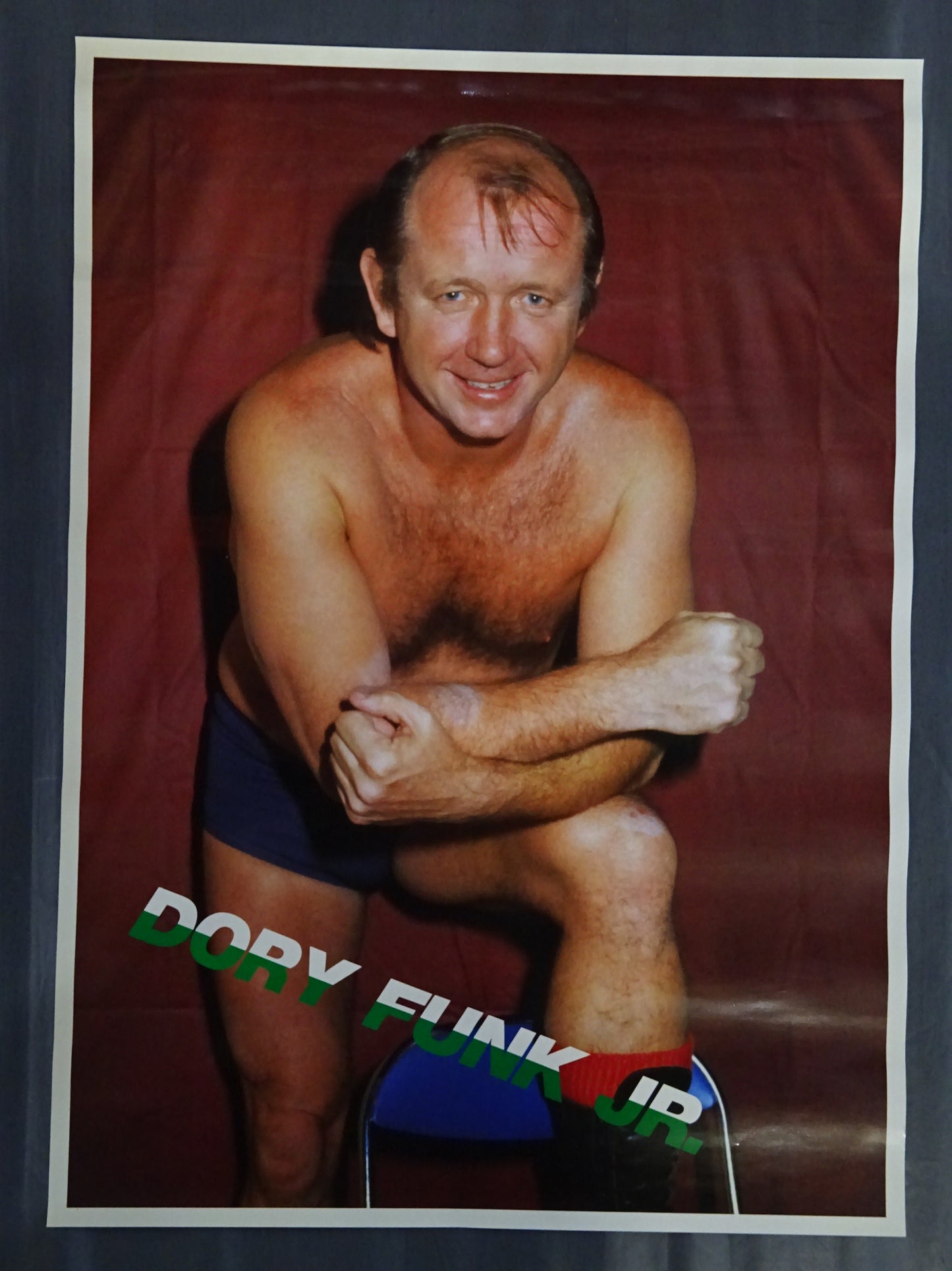 Dory Funk Jr. Posters(1)