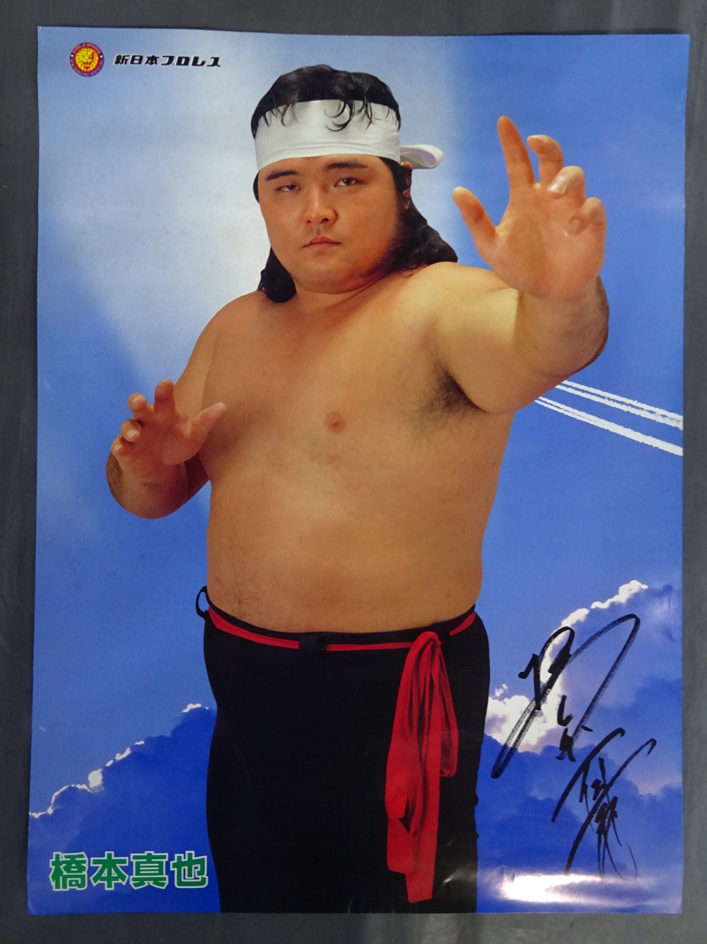 Shinya Hashimoto Poster (1)