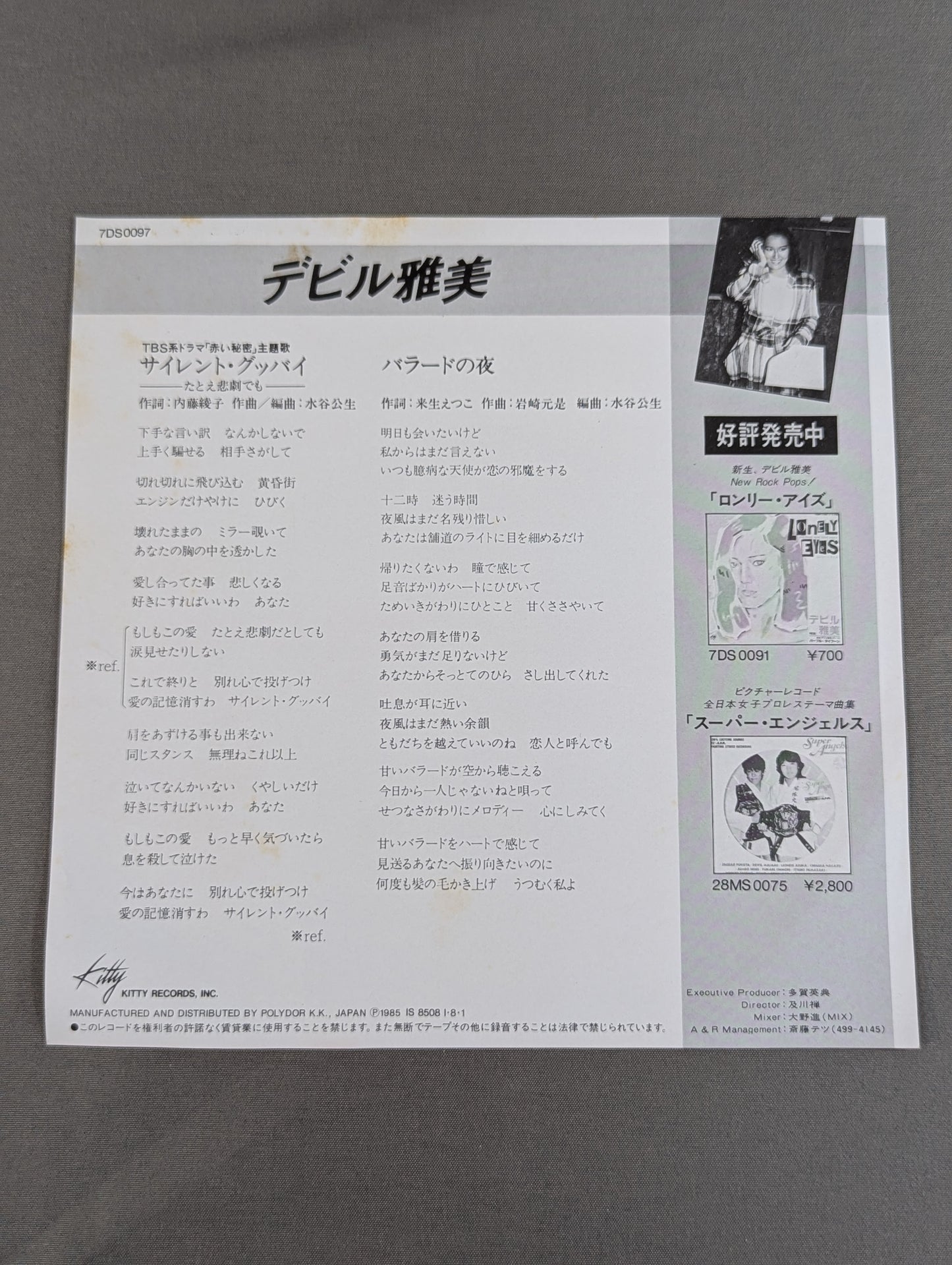 サイレント・グッバイ -たとえ悲劇でも- / デビル雅美