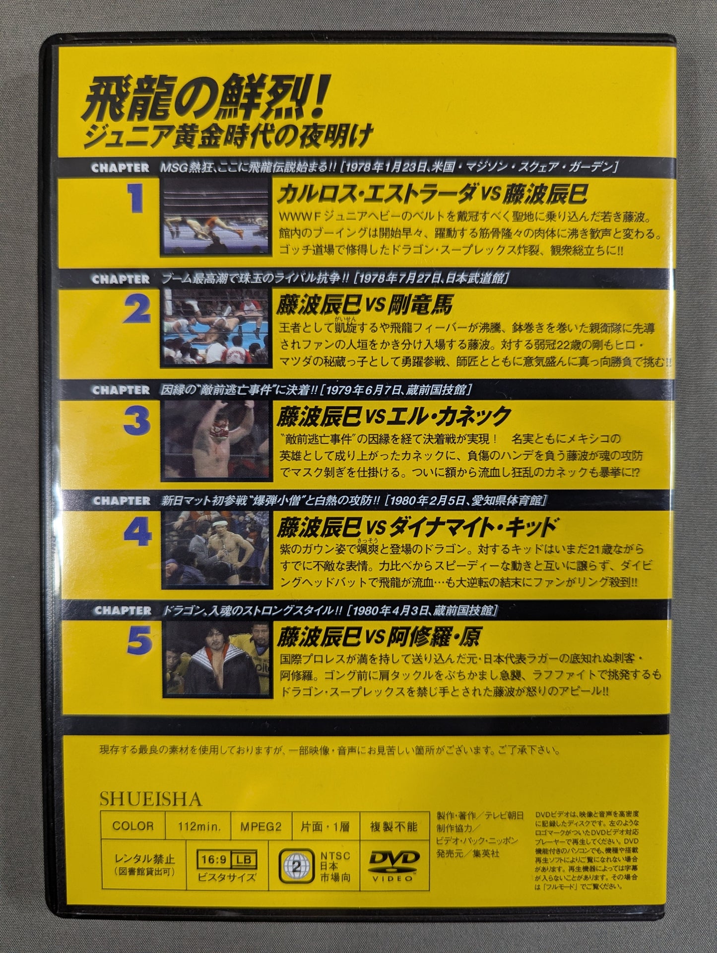 燃えろ!新日本プロレス vol.28