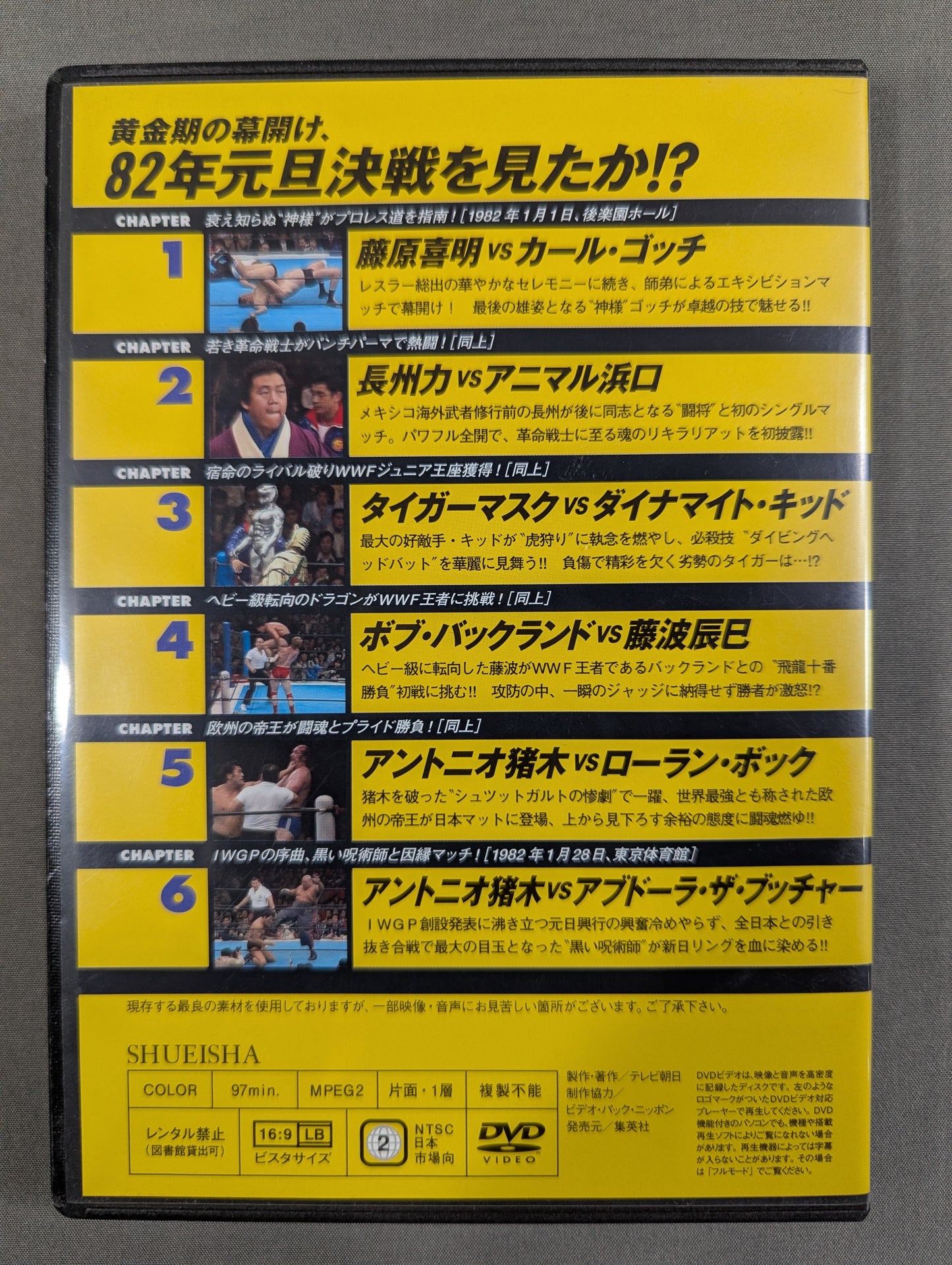 Burn! New Japan Pro Wrestling vol.18