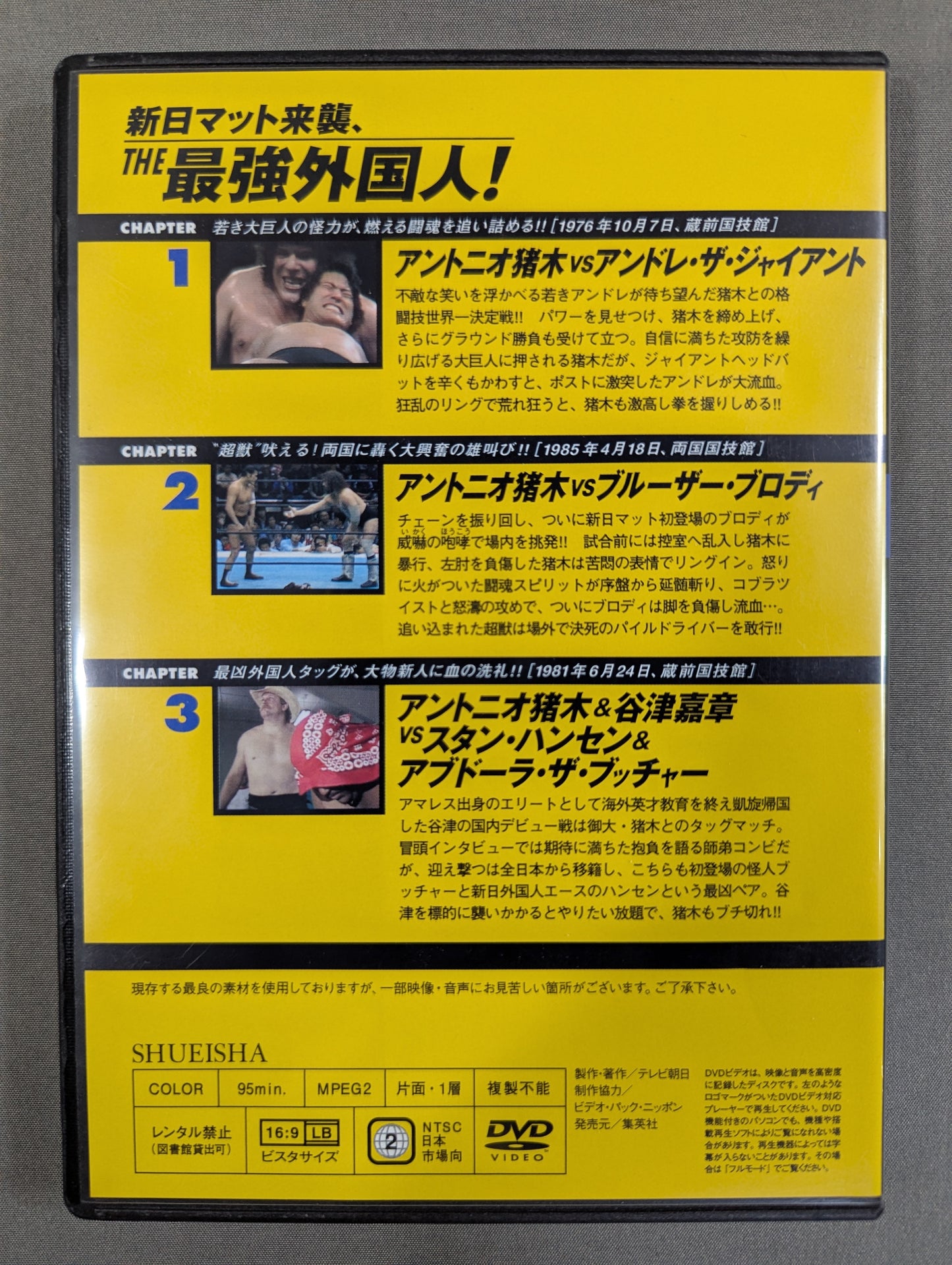 燃えろ!新日本プロレス vol.6