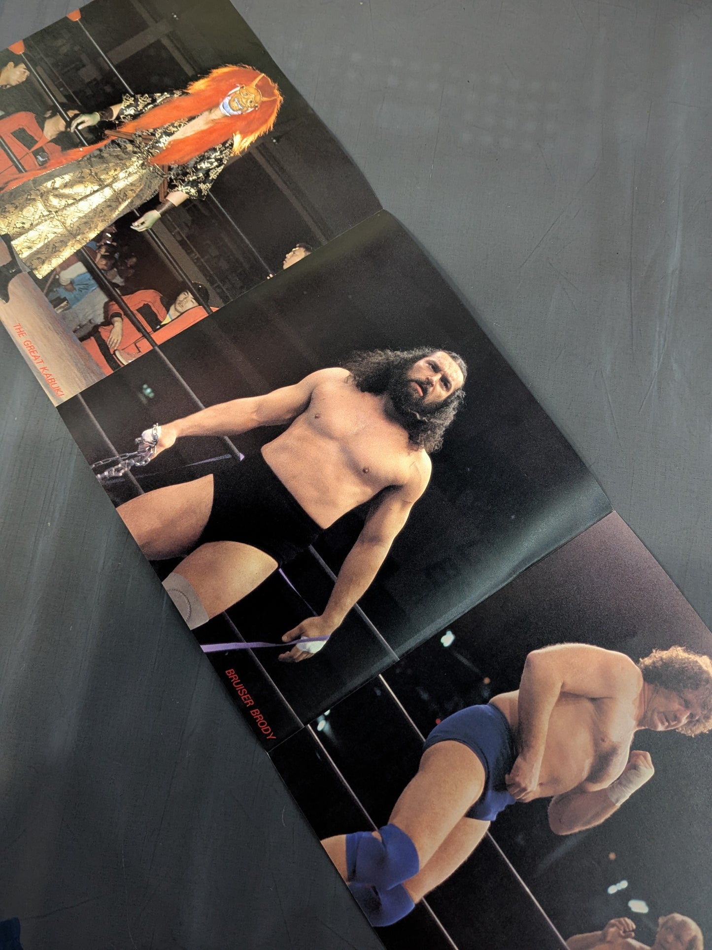 The Pro-wrestling