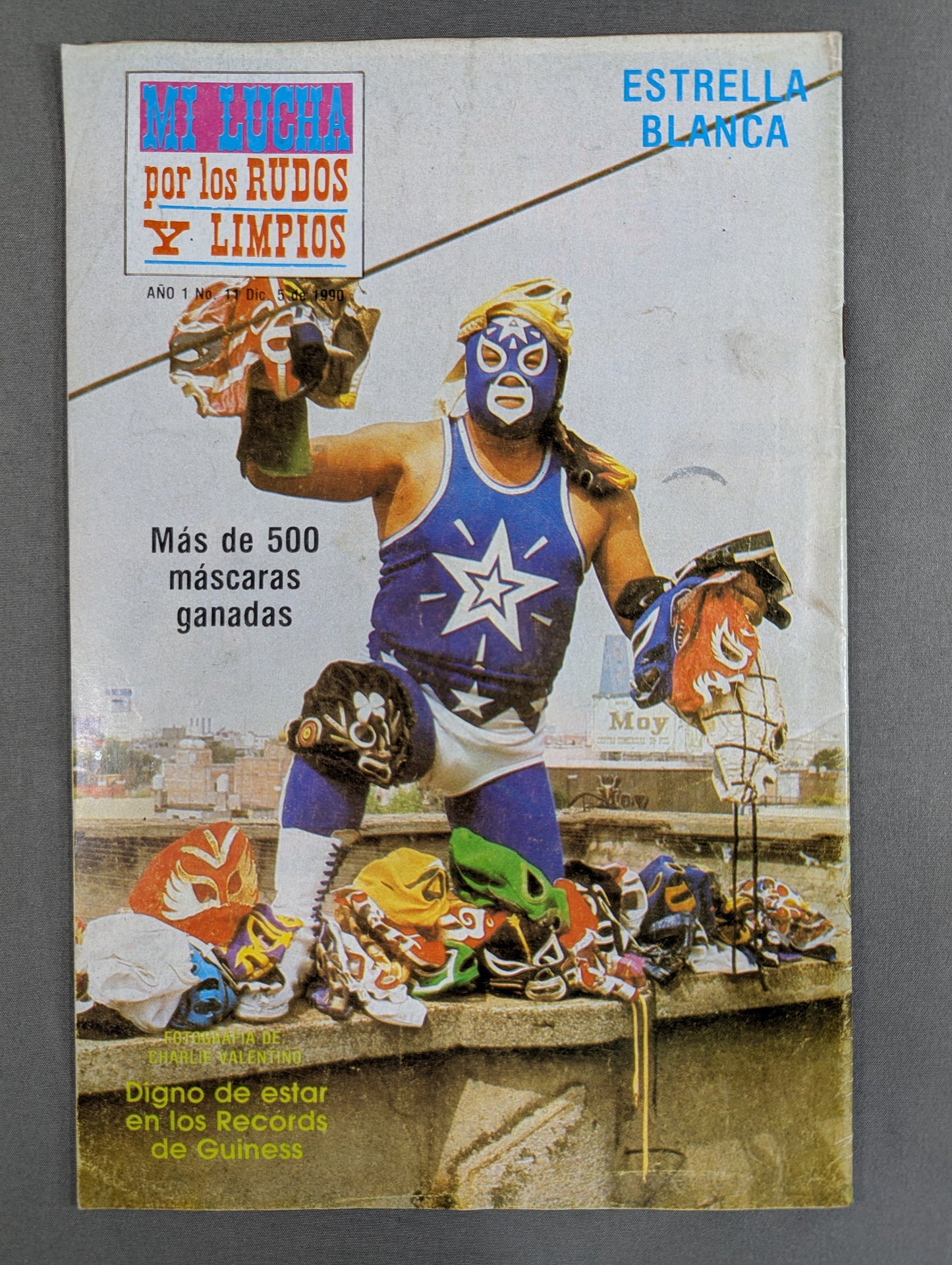 MI LUCHA por los RUDOS Y LIMPIOS No.11