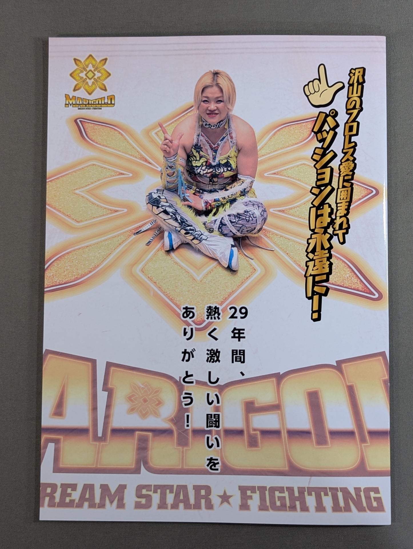 MARIGOLD GUIDE BOOK Vol.11 SHINE FOREVER 2025