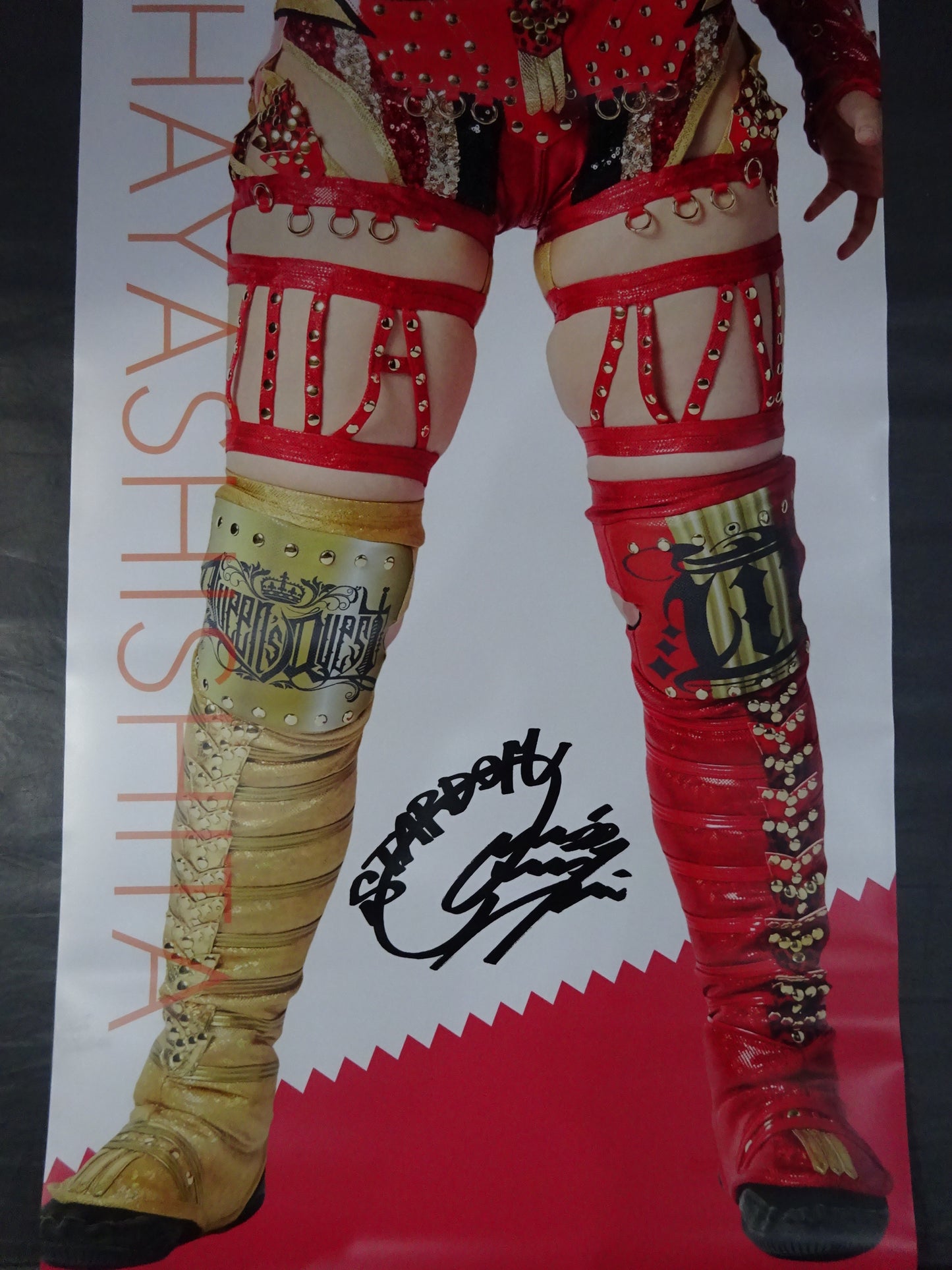 Utami Hayashishita Life-Size Tapestry 2022 Vol.2