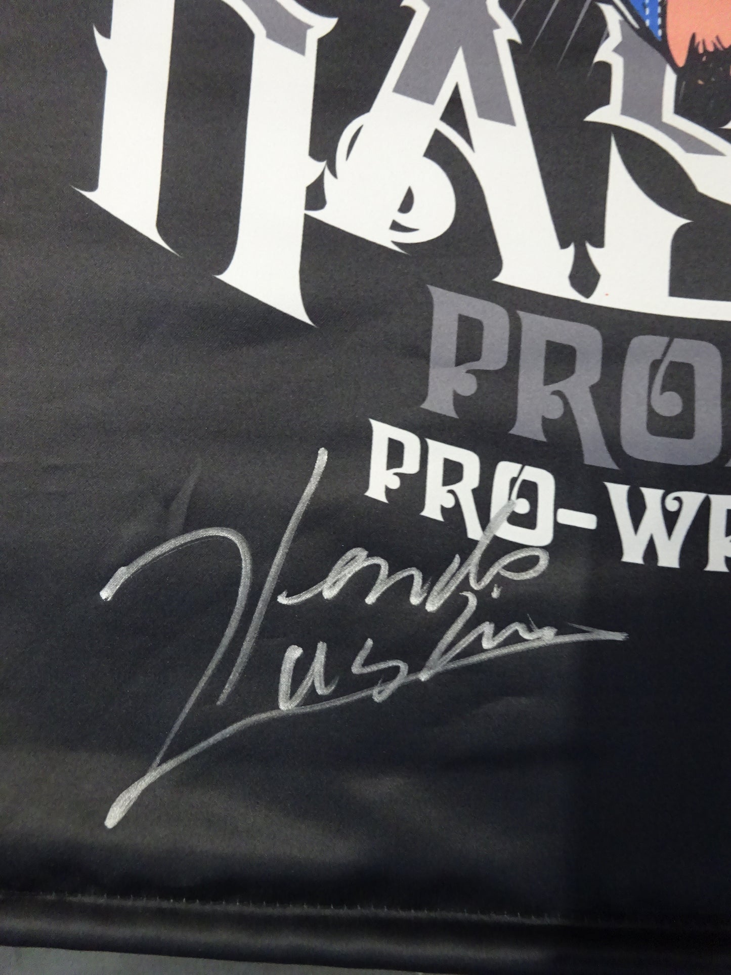 【hand signed autograph】Kendo Kashin Tapestry (1)