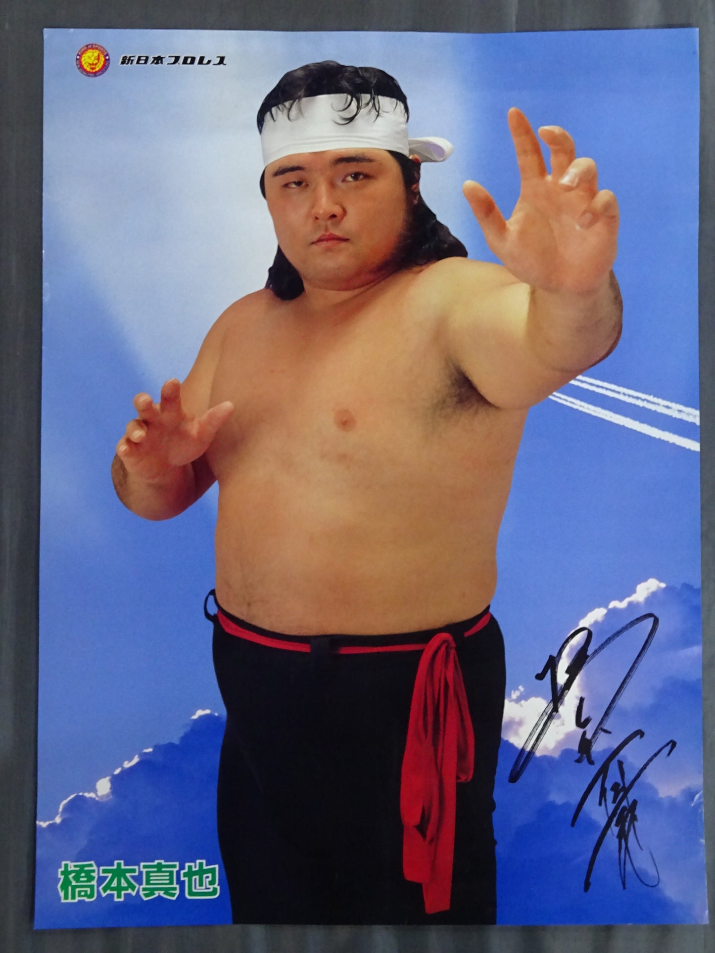 Shinya Hashimoto Poster (1)