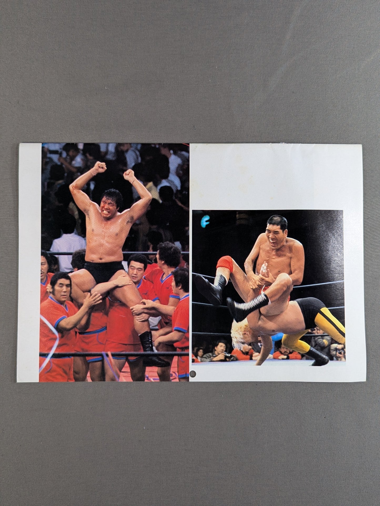 1984 Gong Superstar Wrestling Calendar