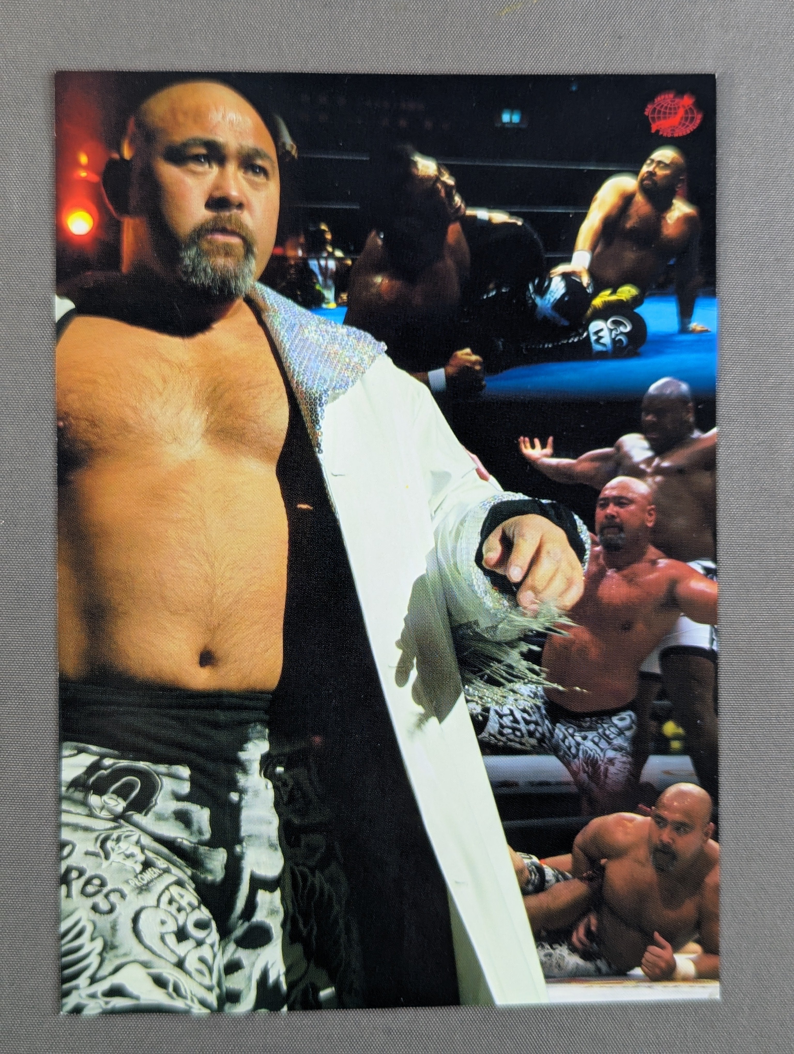 全日本プロレス 武藤敬司 ポストカード – 闘道館