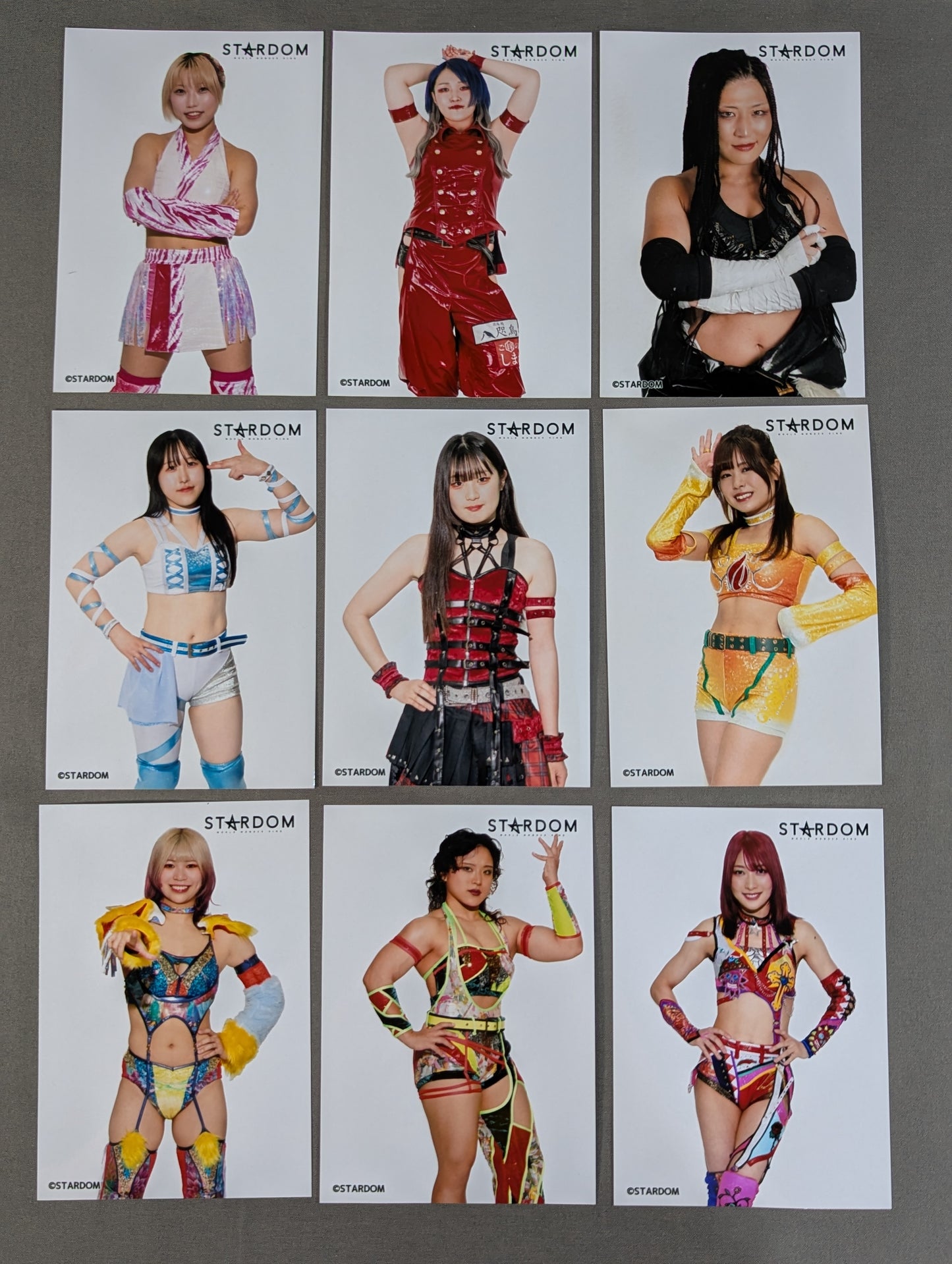 Stardom Profile photo photo All fighters Set 2025