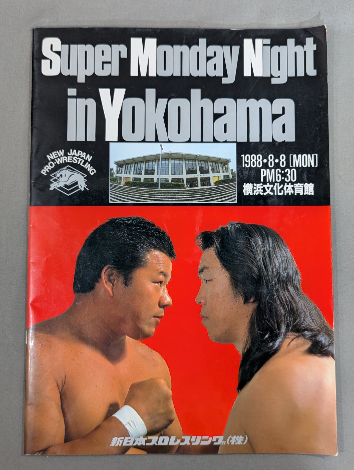 Summerfight in Ariake