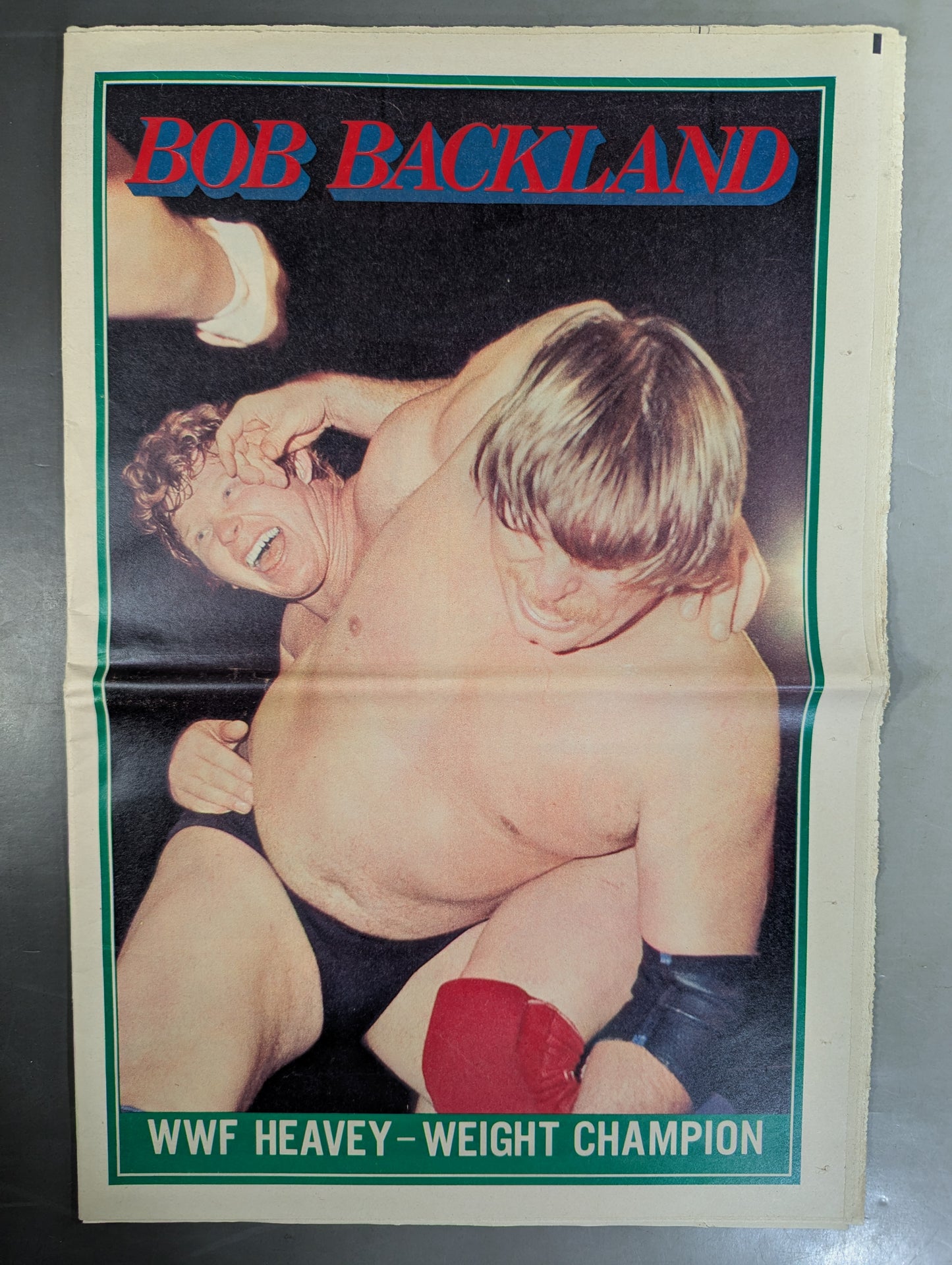 Tokyo Sports Extra Edition, March 31, 1981 Issue