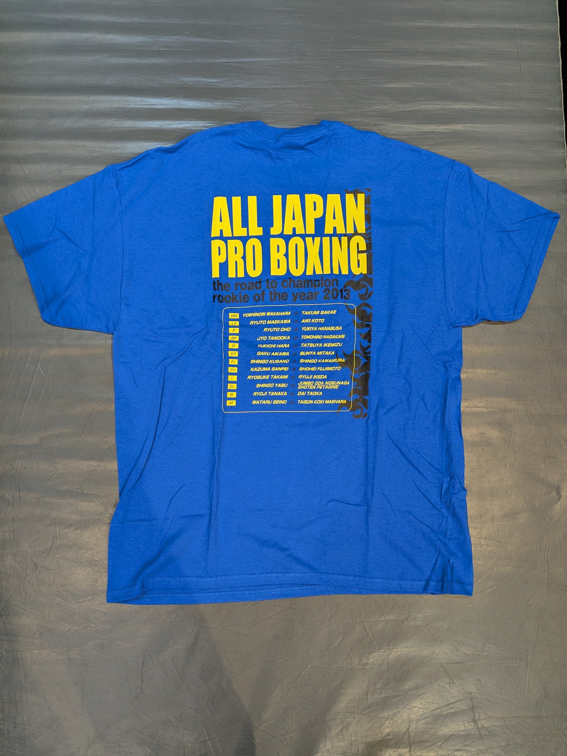 日本プロボクシング「THE ROAD TO CHAMPION ROOKIE OF THE 2013 YEAR