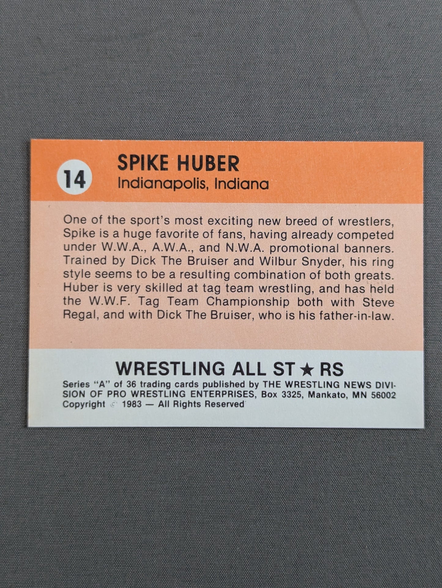 ★1983 Wrestling ALL STARS Series A★ Spike Huber