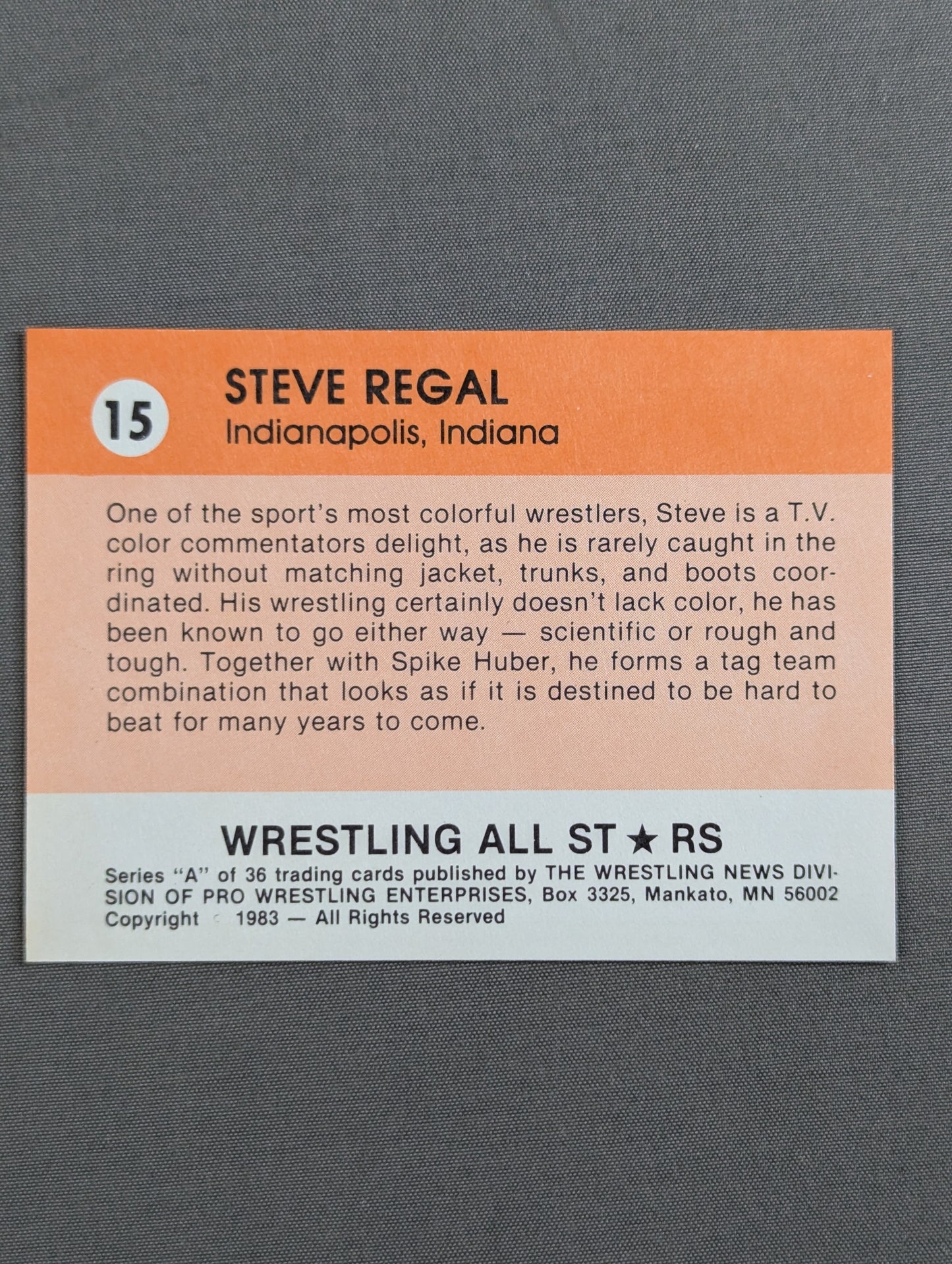 ★1983 Wrestling ALL STARS Series A★ Steve Regal