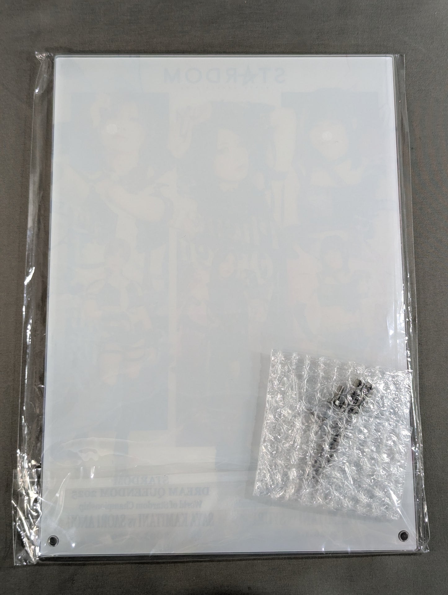 ★ Finish Prize ★: Saya Kamitani & Akari & Saori Anou A4 Acrylic Panel