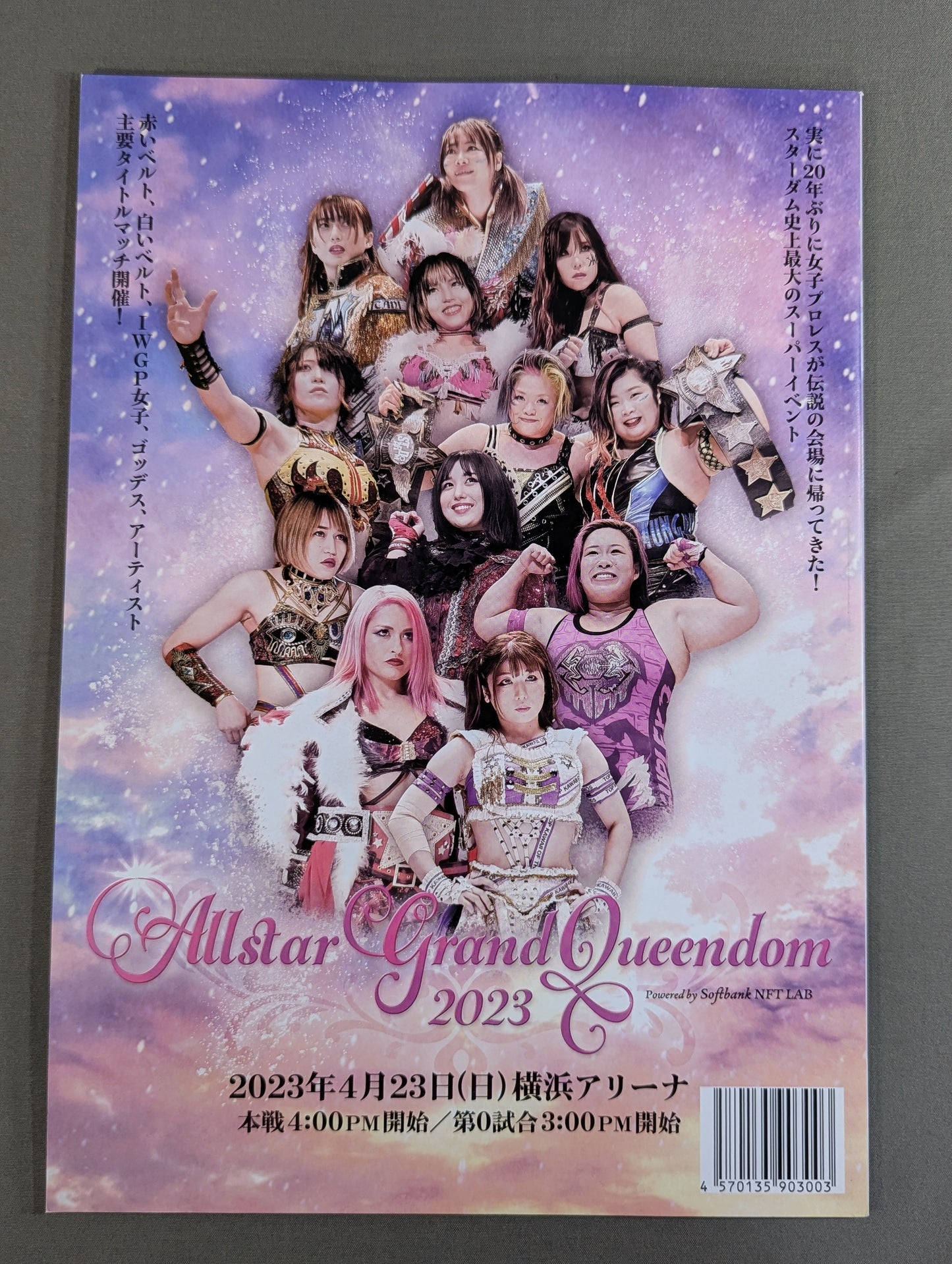 STARDOM OFFICIAL GUIDE BOOK Vol.146