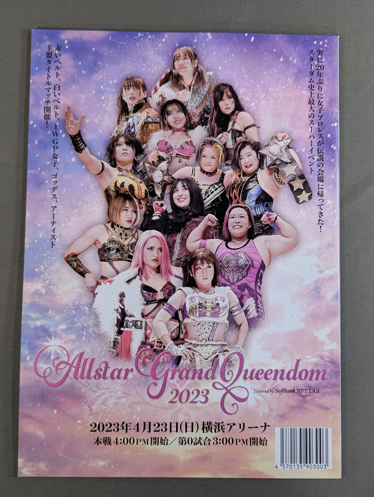 STARDOM OFFICIAL GUIDE BOOK Vol.146