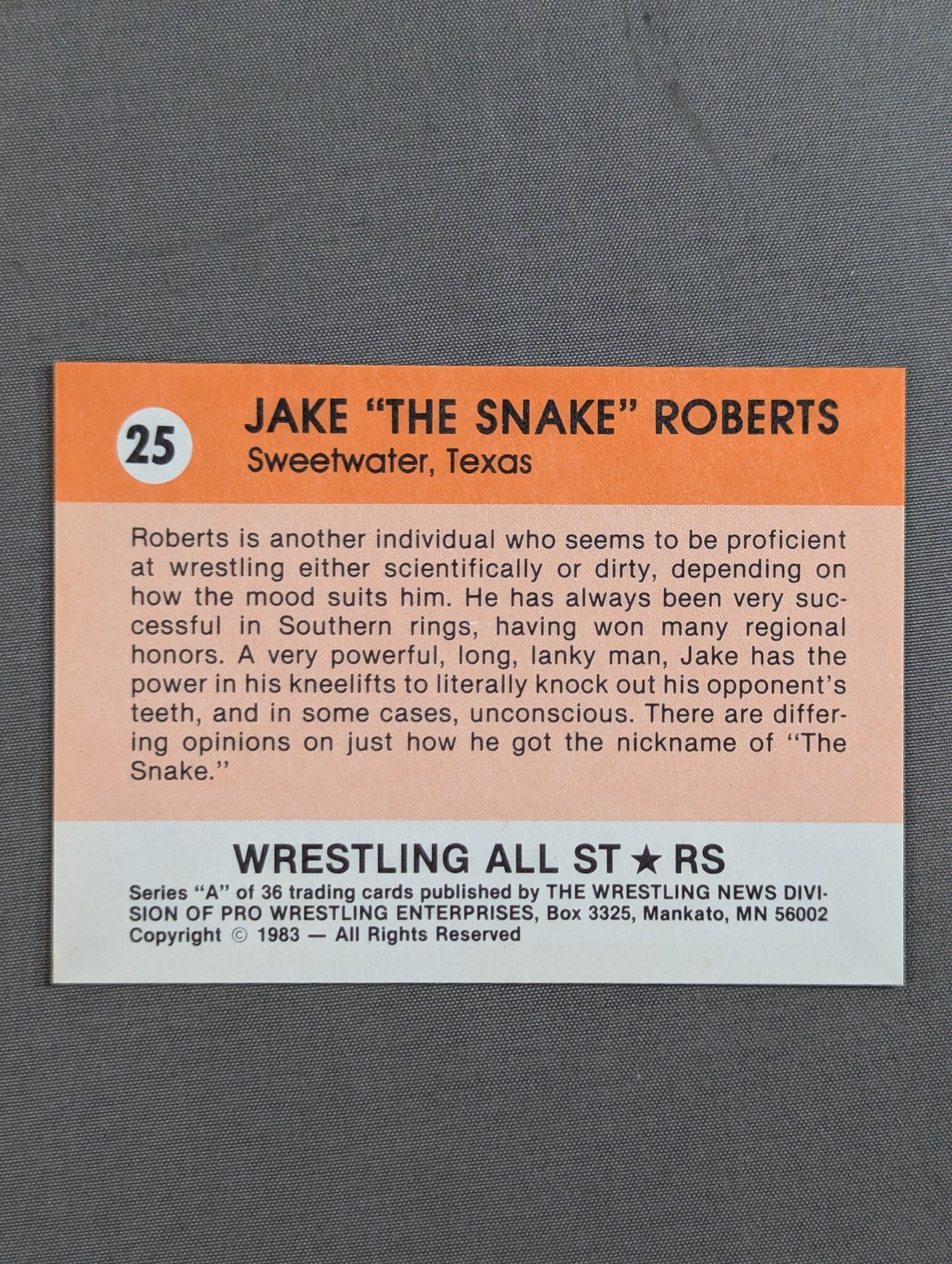 ★1983 Wrestling ALL STARS Series A★ Jake Roberts