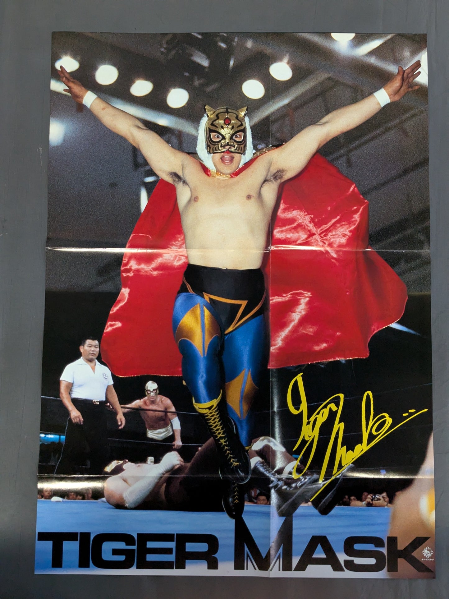 ★ Report card & poster included ★! Tiger Mask