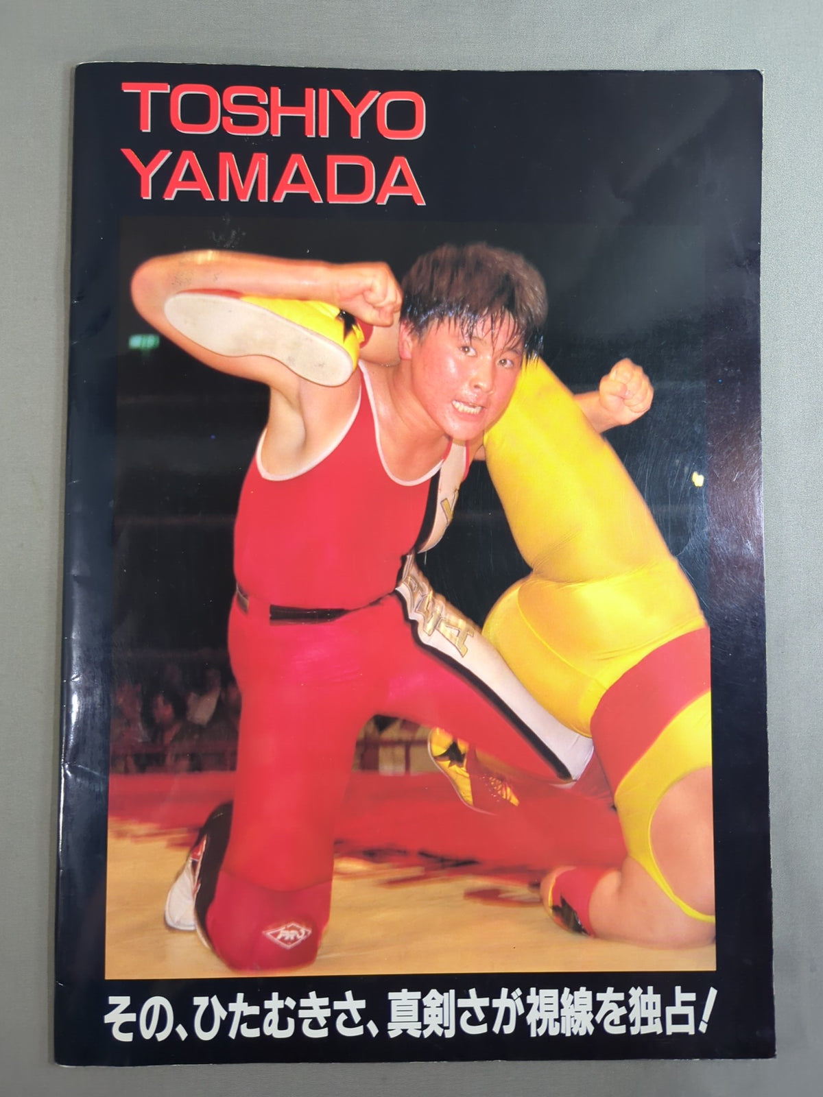リングスターPROGRAM 1991 Vol.10