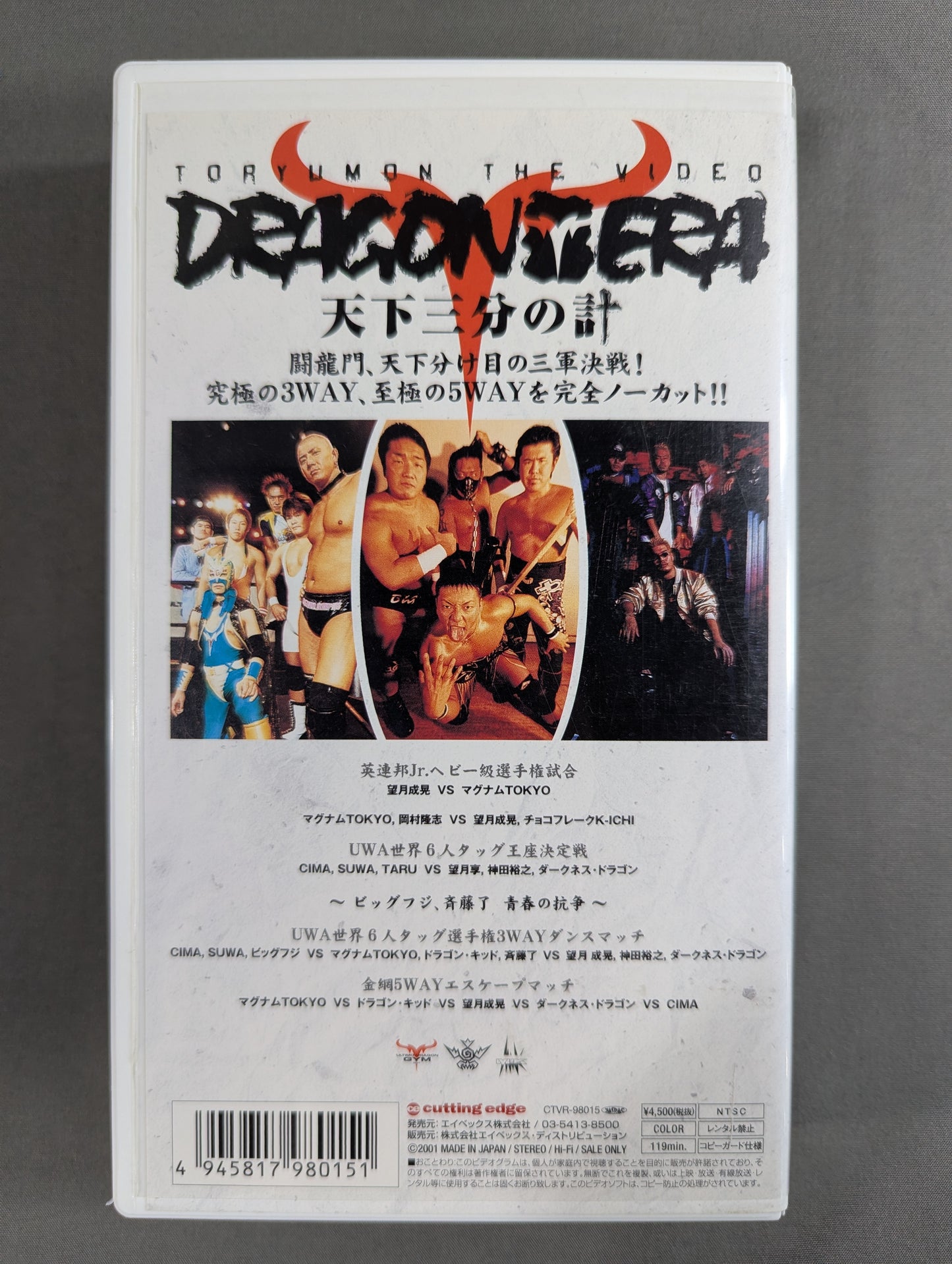 Toryumon Tenka's Three-Thirds