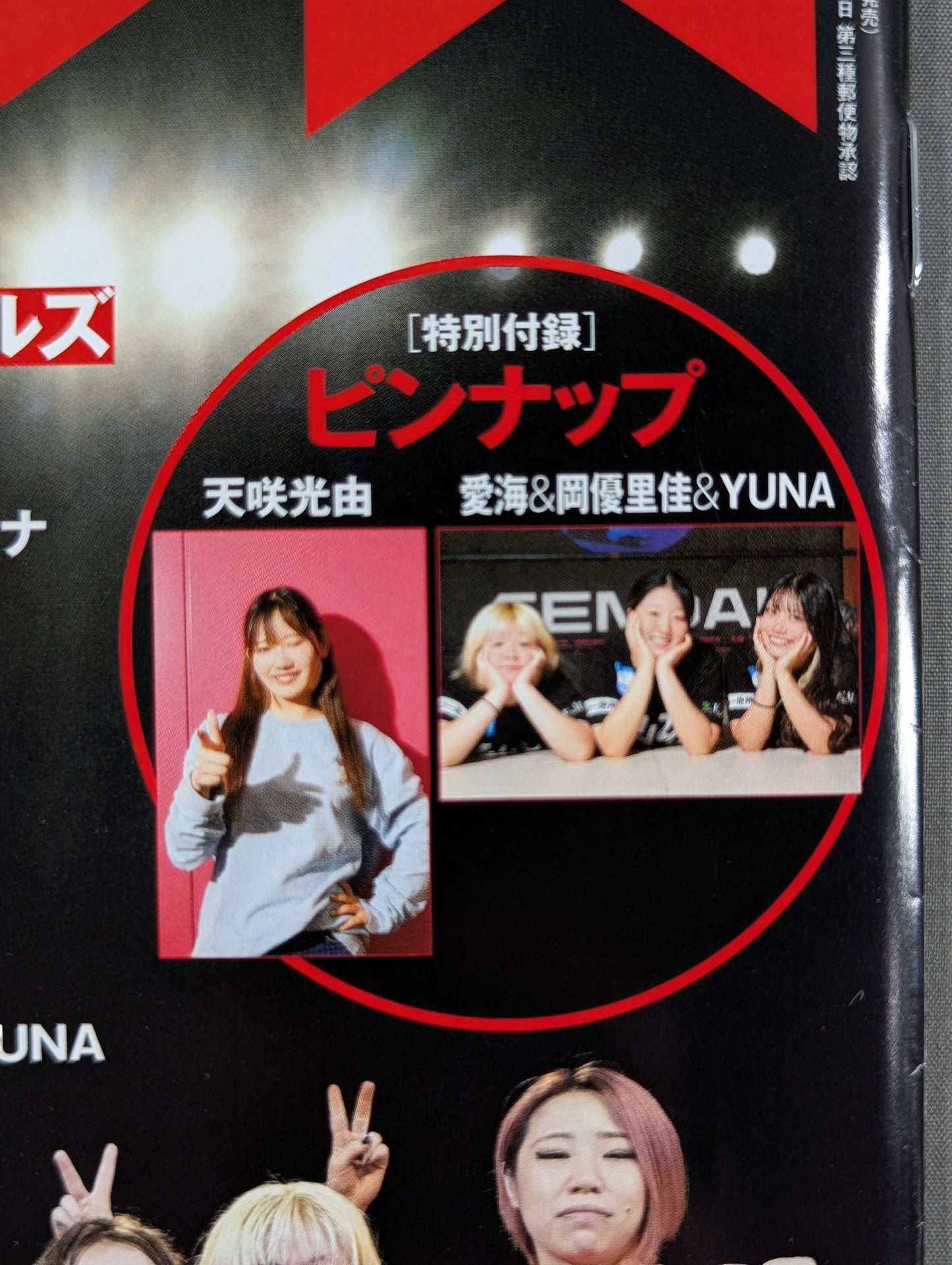 週刊プロレス2419