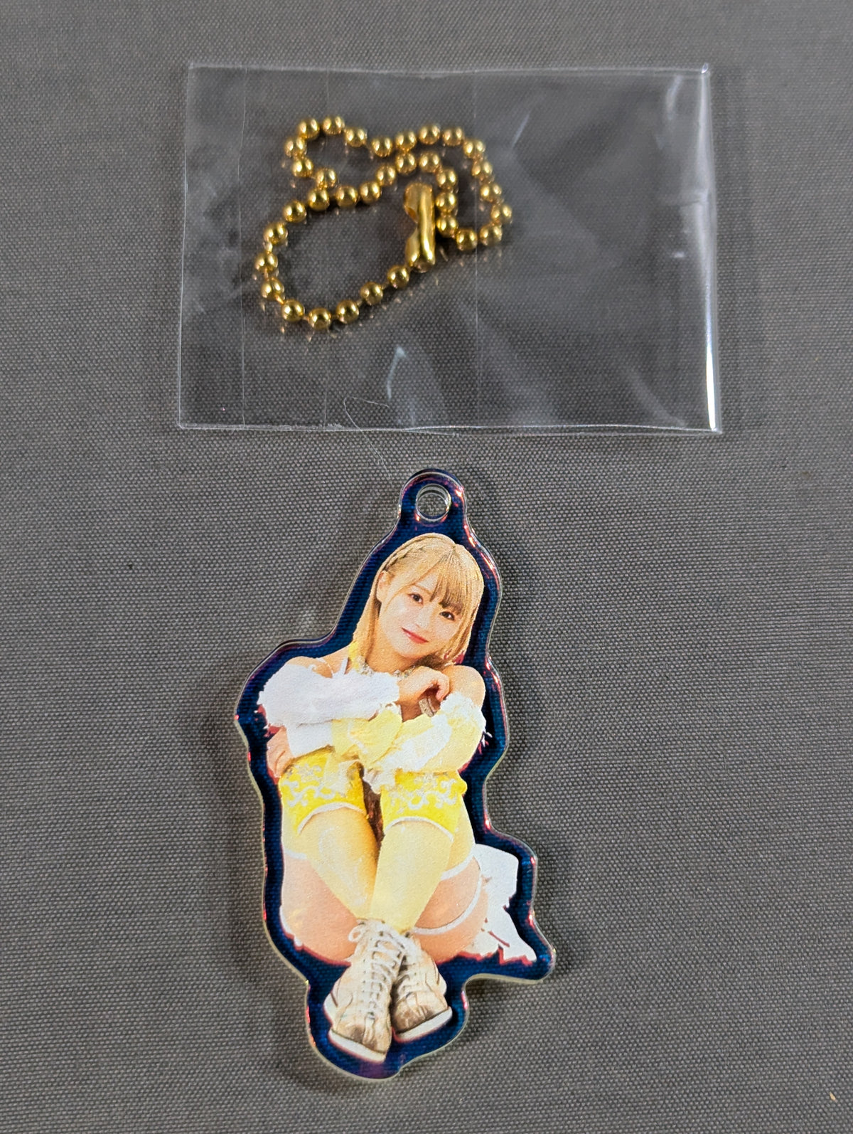NATSUPOI #ちょこんとおすわりランダムキーホルダー