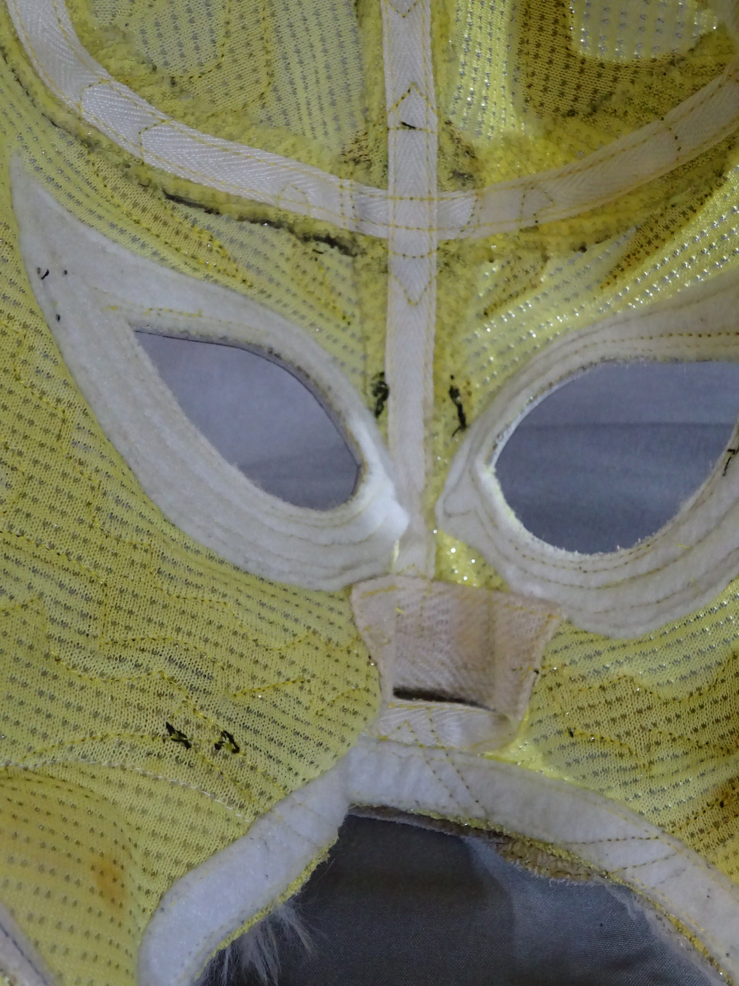 2nd Tiger Mask