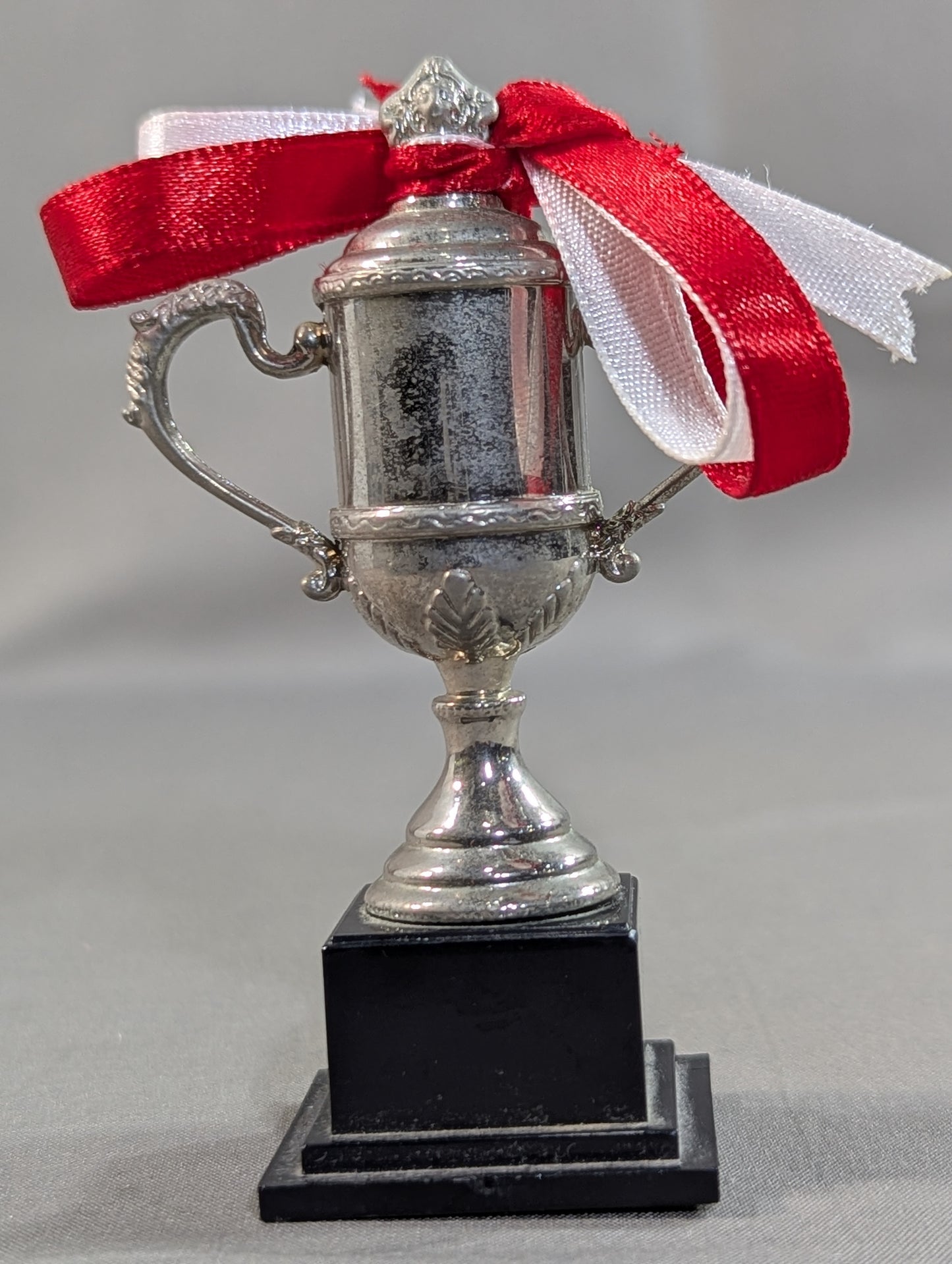 ★ ★ Secret Real World Tag League Championship Trophy