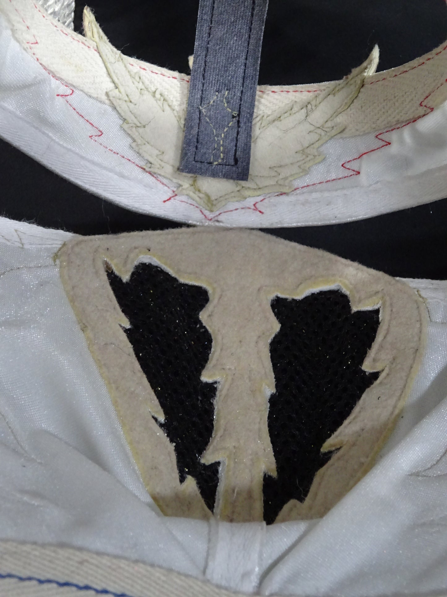 HAYABUSA