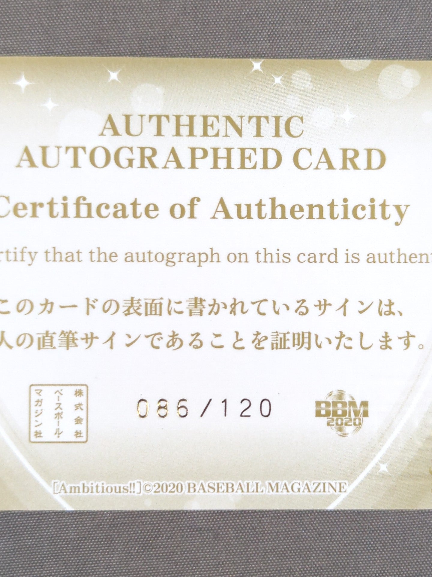 2020 BBM Yappy Official Autographed Card